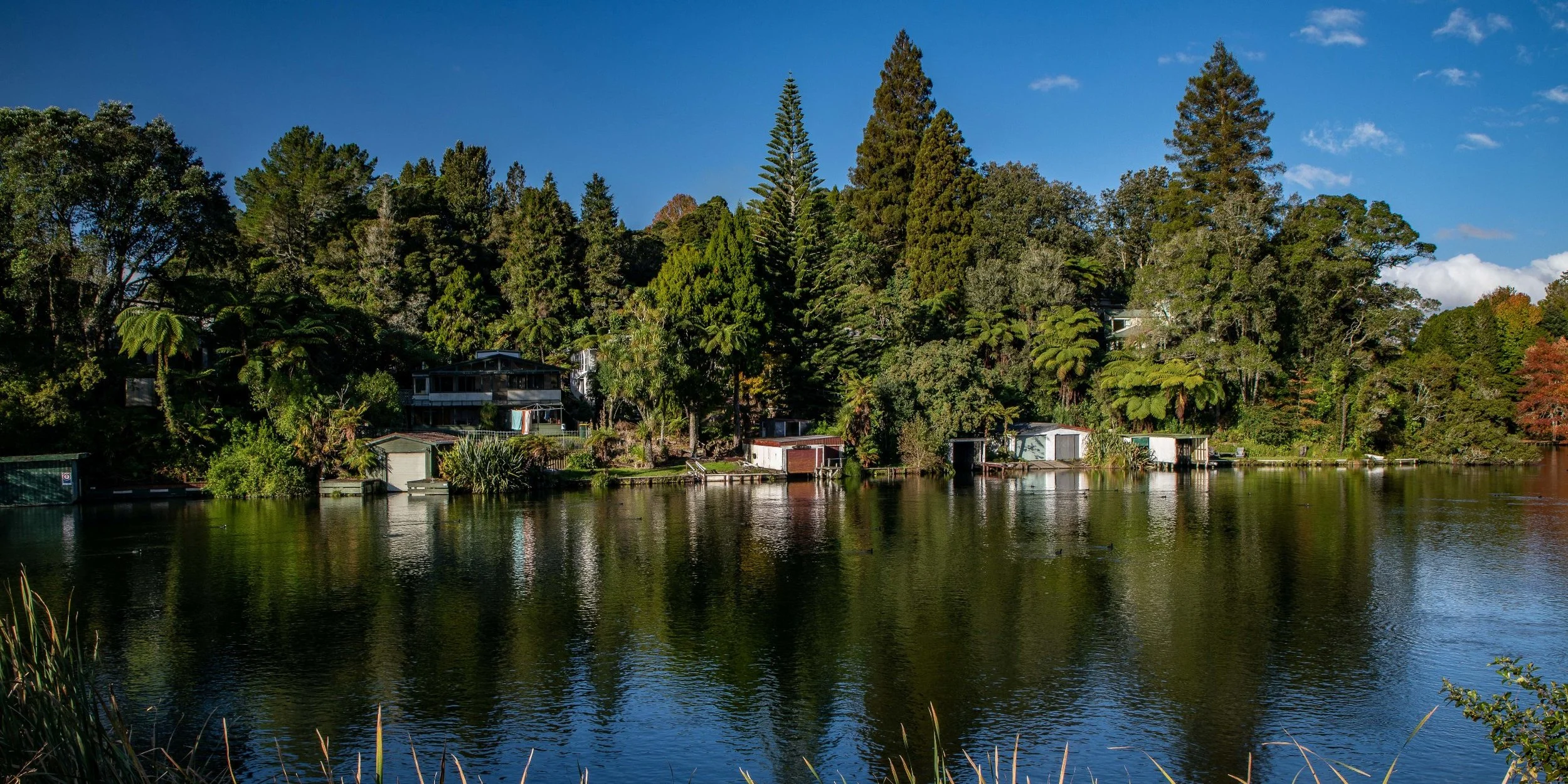 Lake Rotoiti,Okere Inlet,-176.JPG