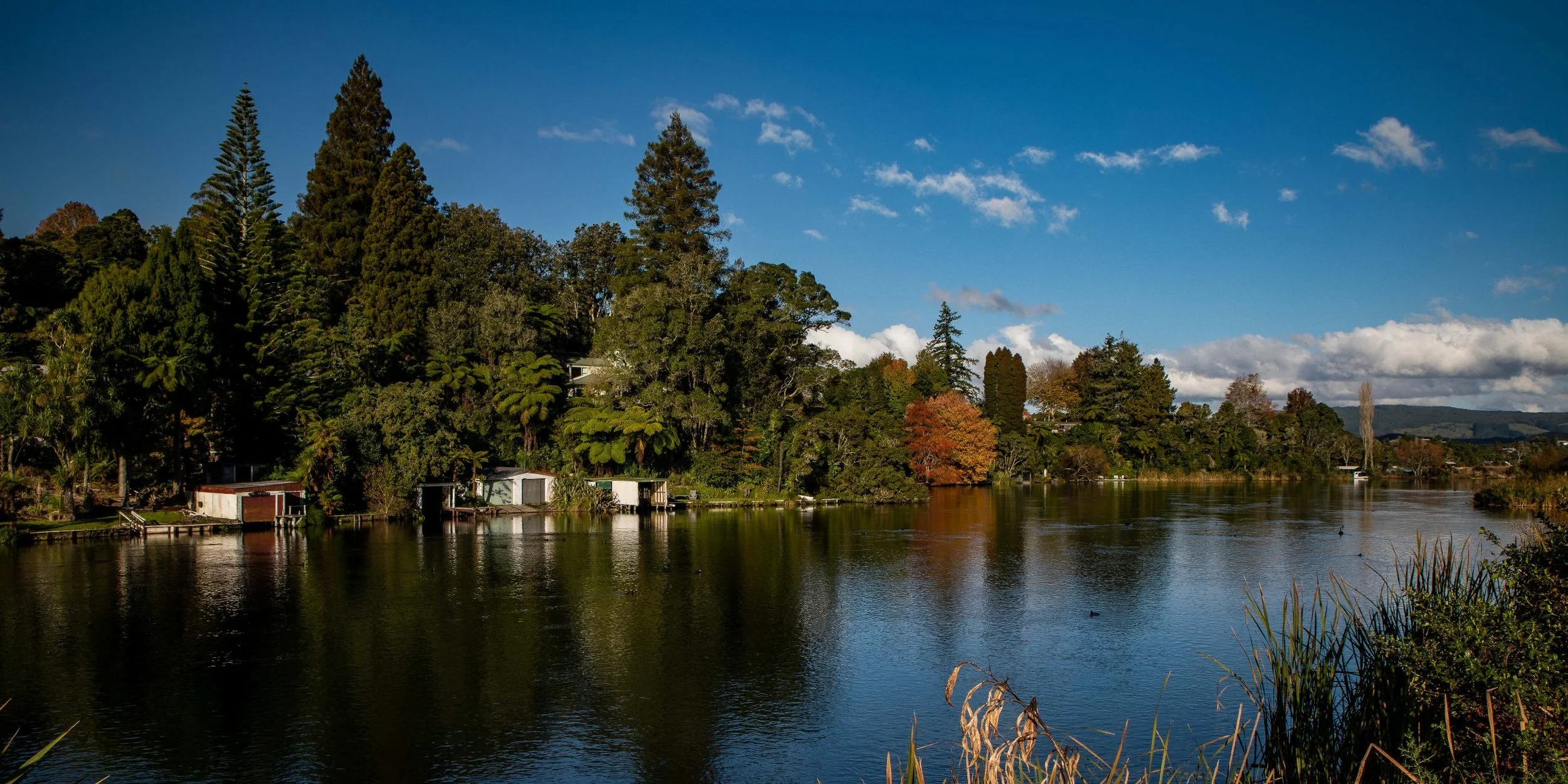 Lake Rotoiti,Okere Inlet,-177.JPG