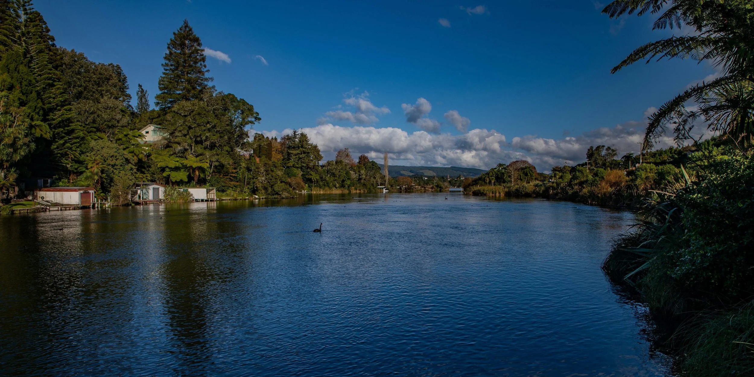 Lake Rotoiti,Okere Inlet,-184.JPG