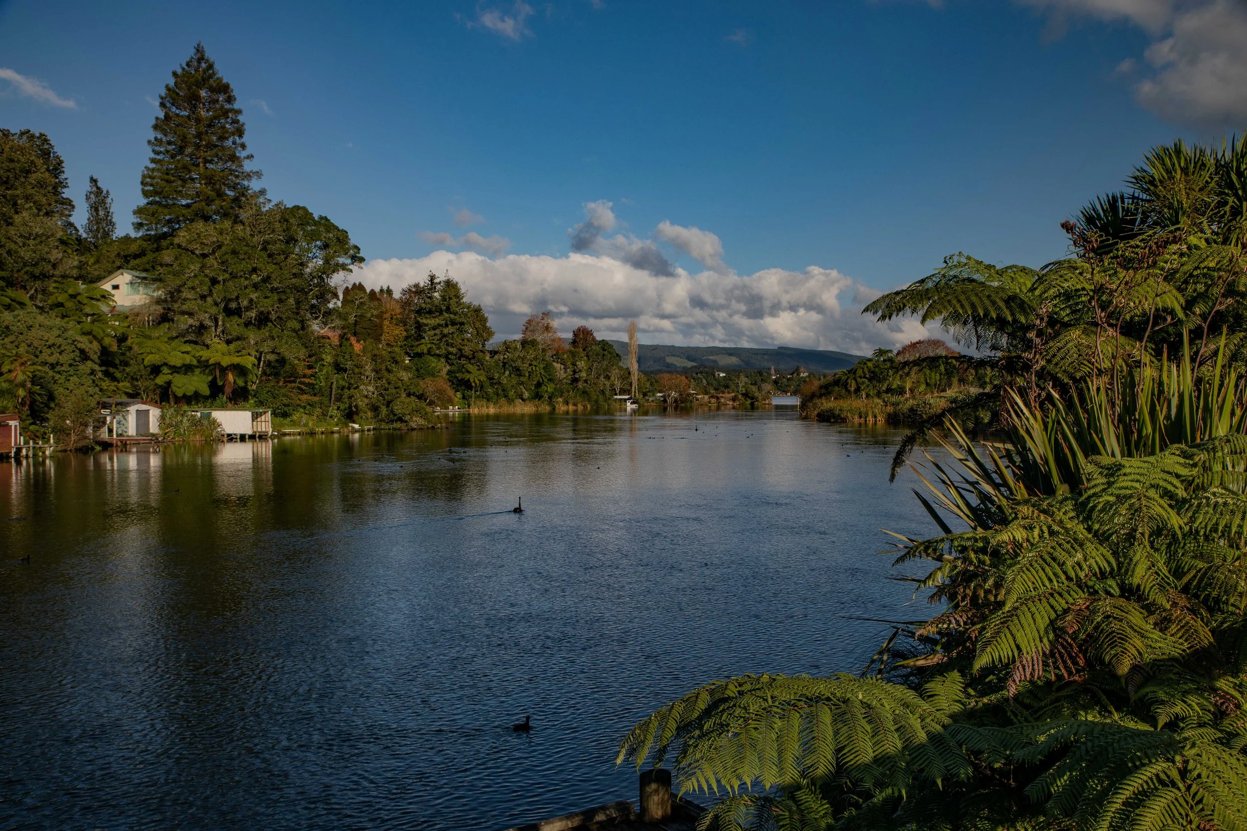 Lake Rotoiti,Okere Inlet,-187.JPG