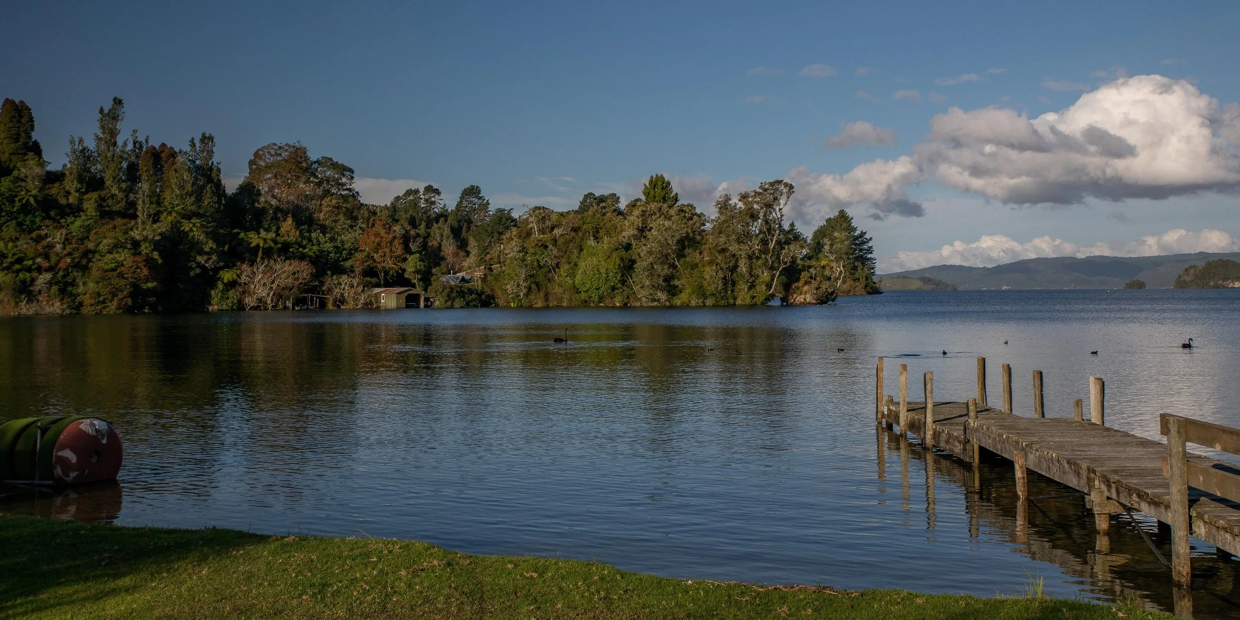 Lake Rotoiti,Te Karaka Bay,-198.JPG
