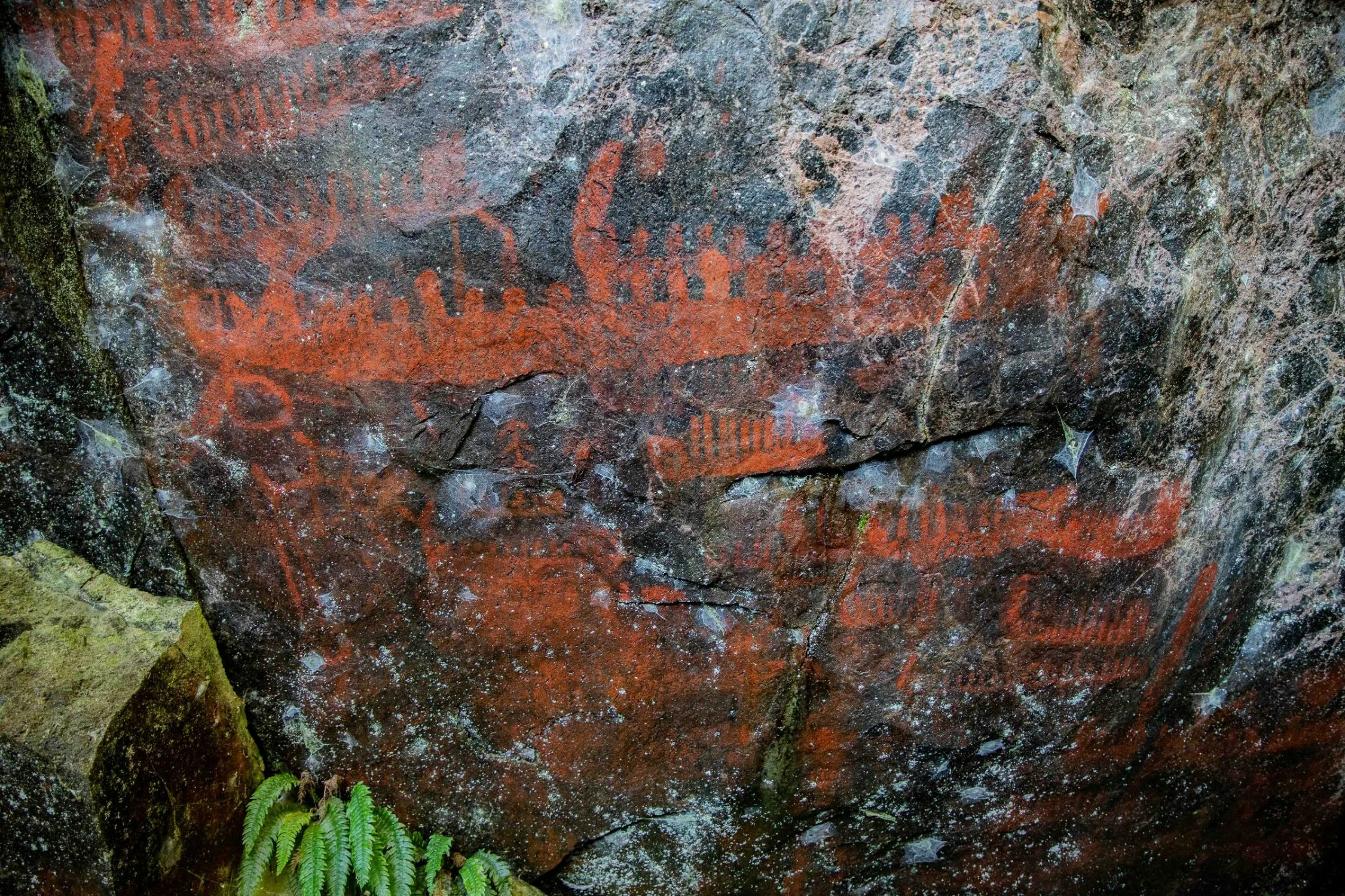 Lake Tarawera,-142.JPG
