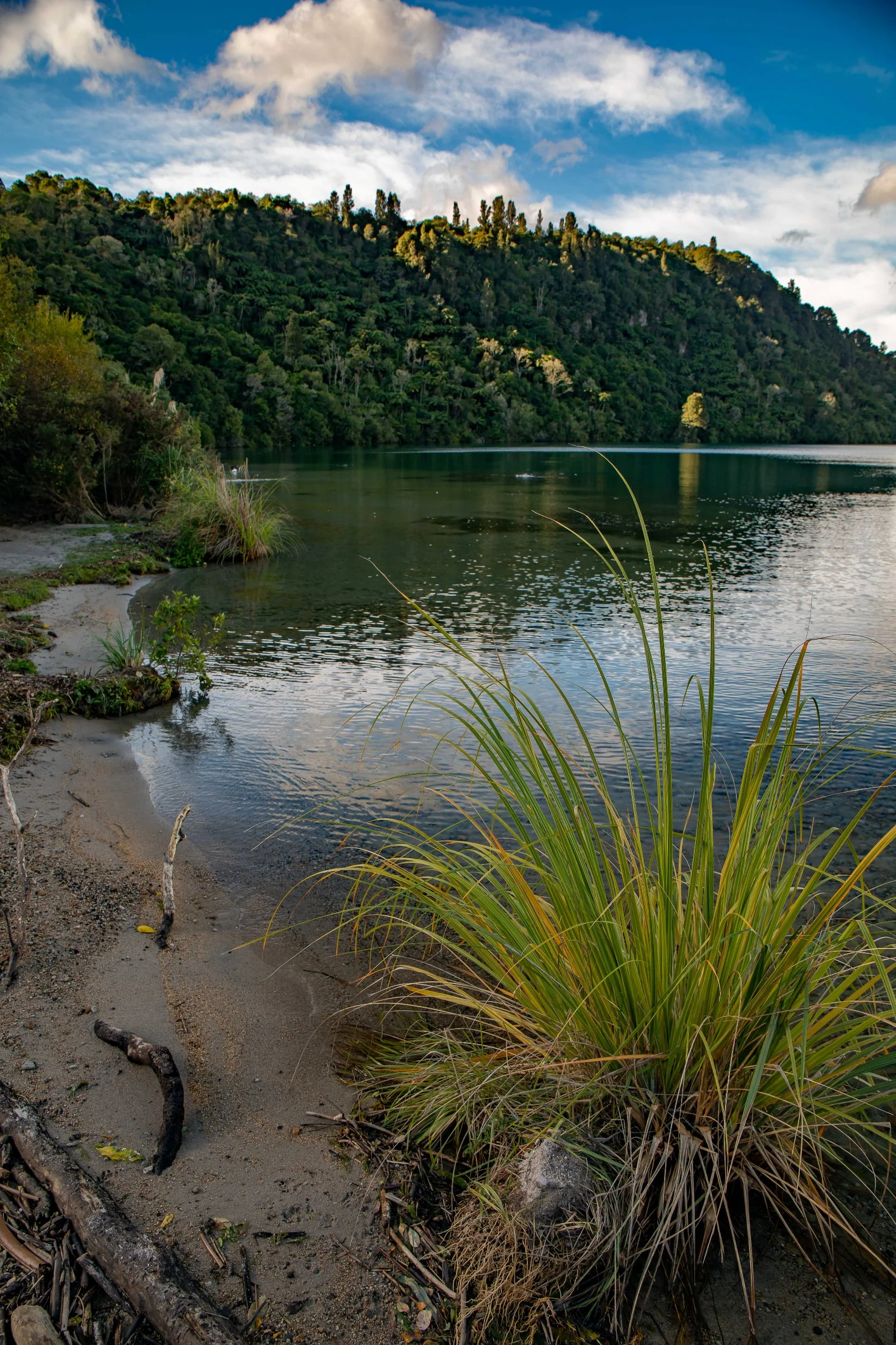 Lake Tarawera,-145.JPG