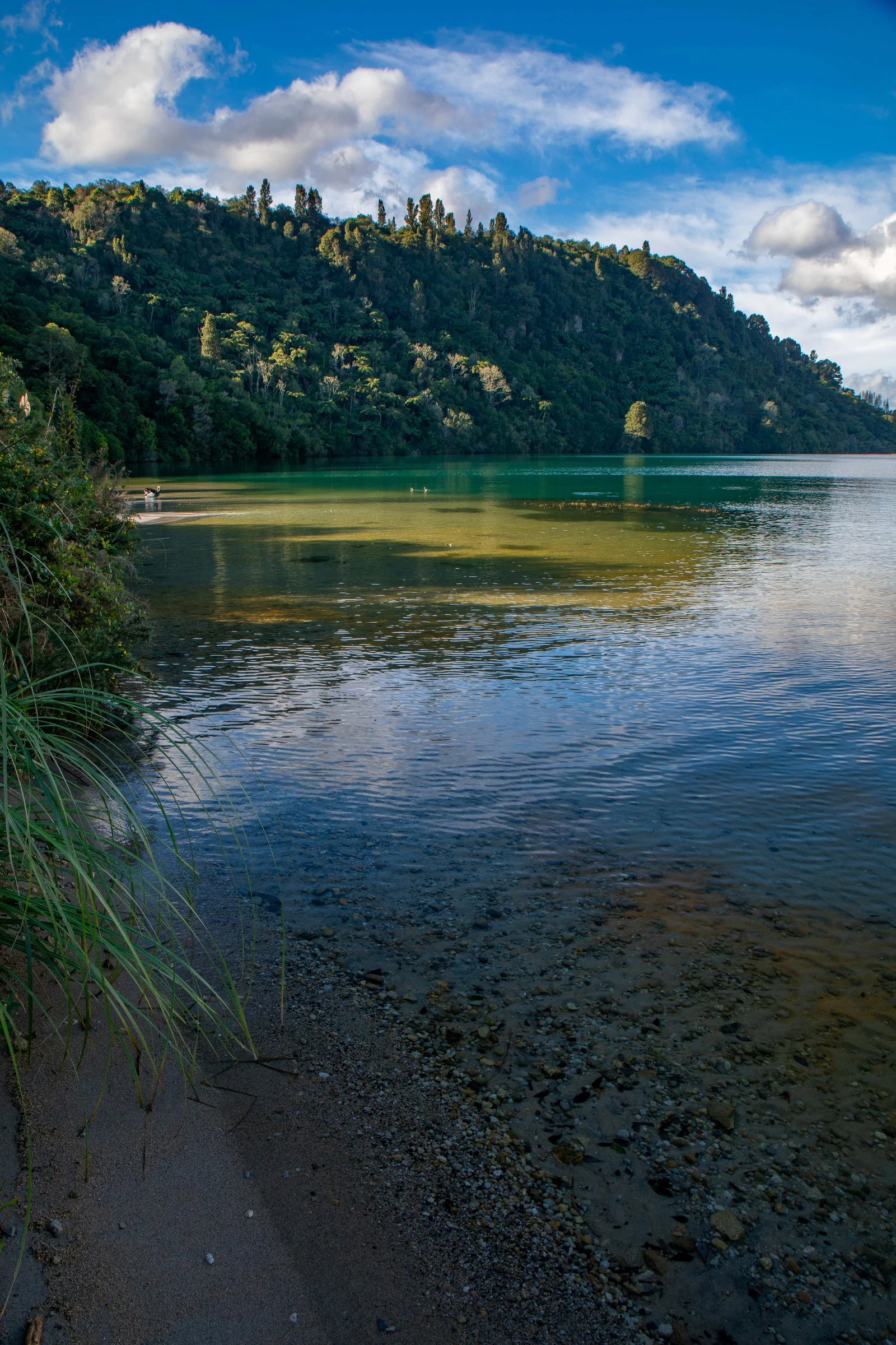 Lake Tarawera,-152.JPG