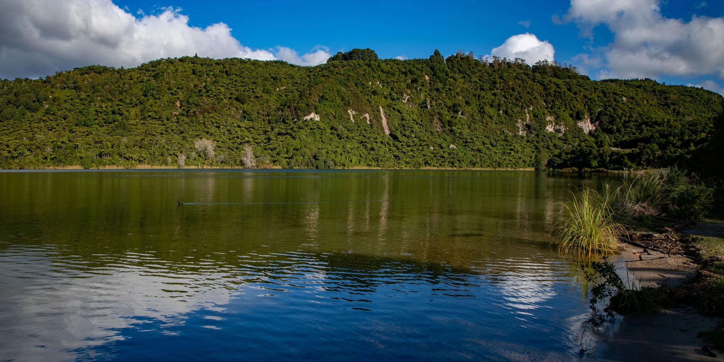 Lake Tarawera,-153.JPG