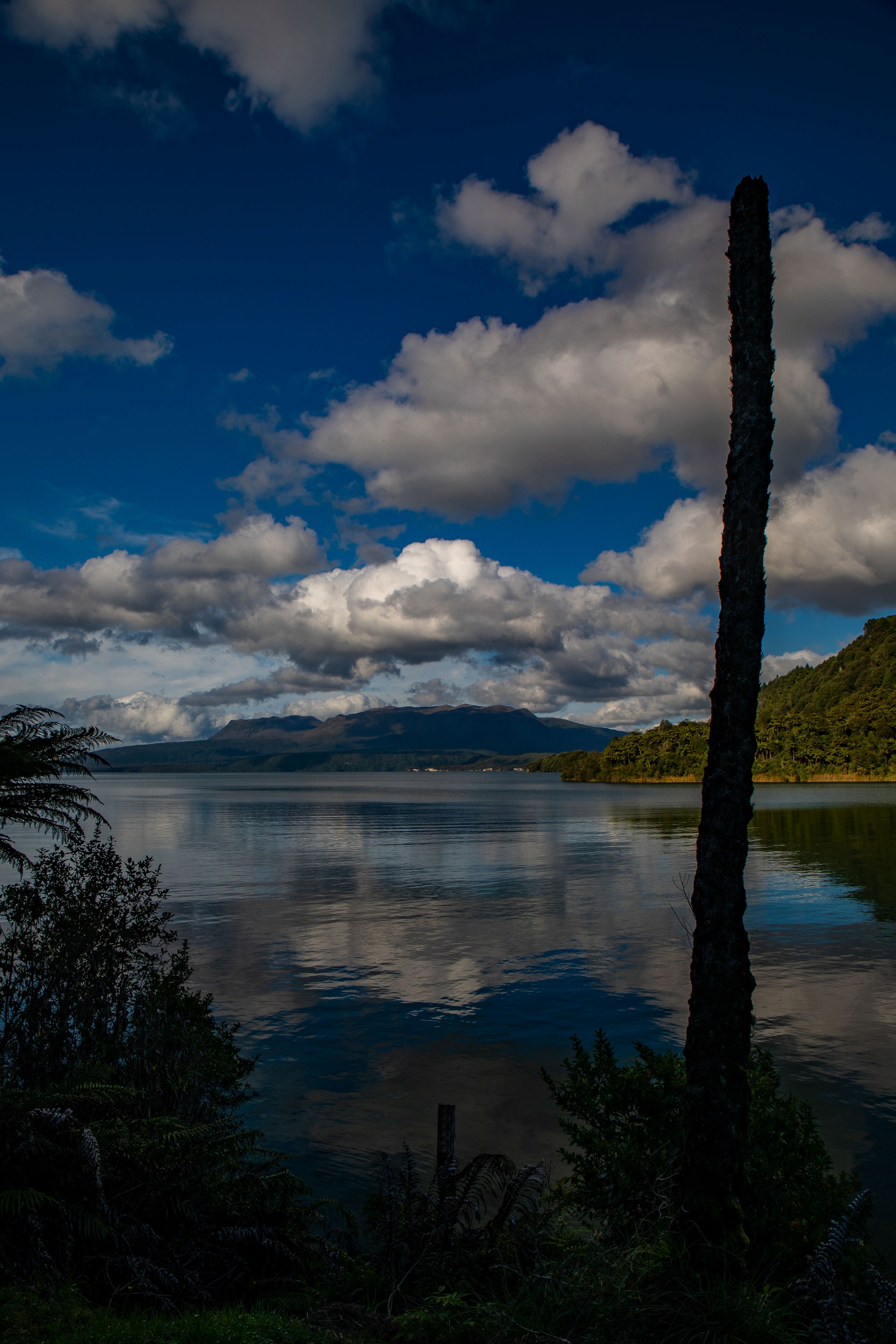 Lake Tarawera,-161.JPG