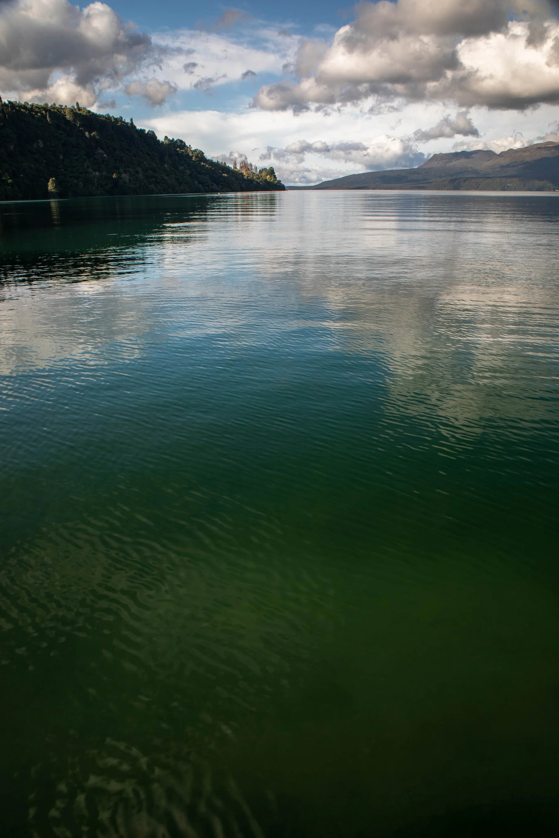 Lake Tarawera,-168.JPG