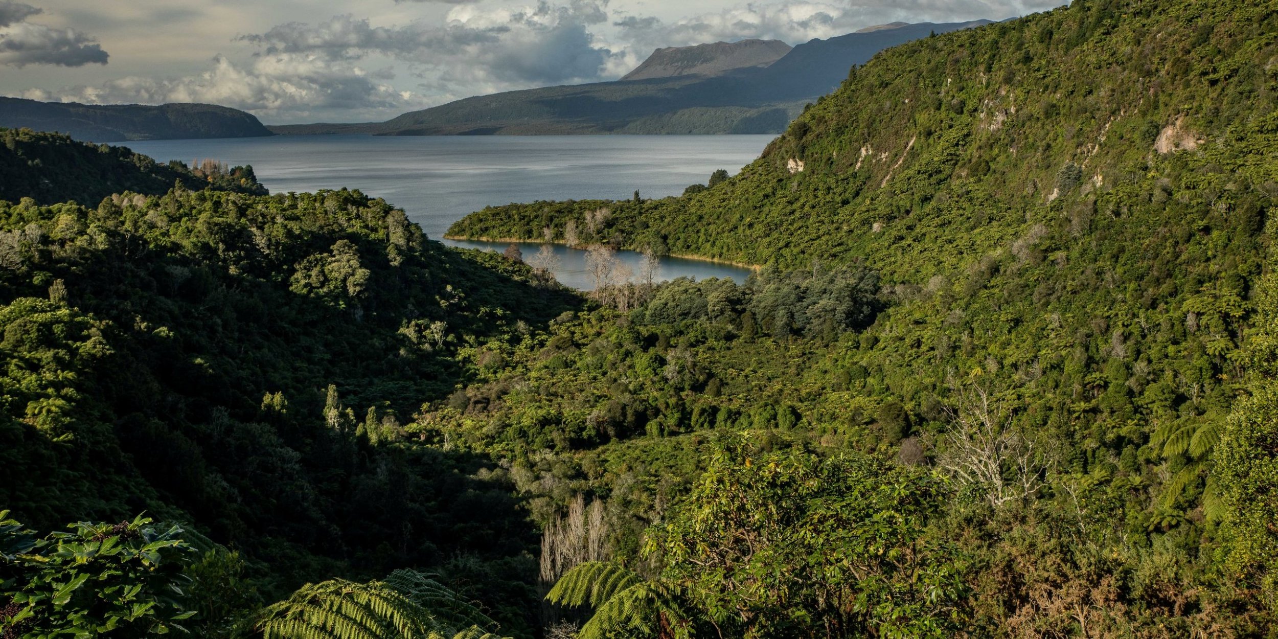 Lake Tarawera,-174.JPG