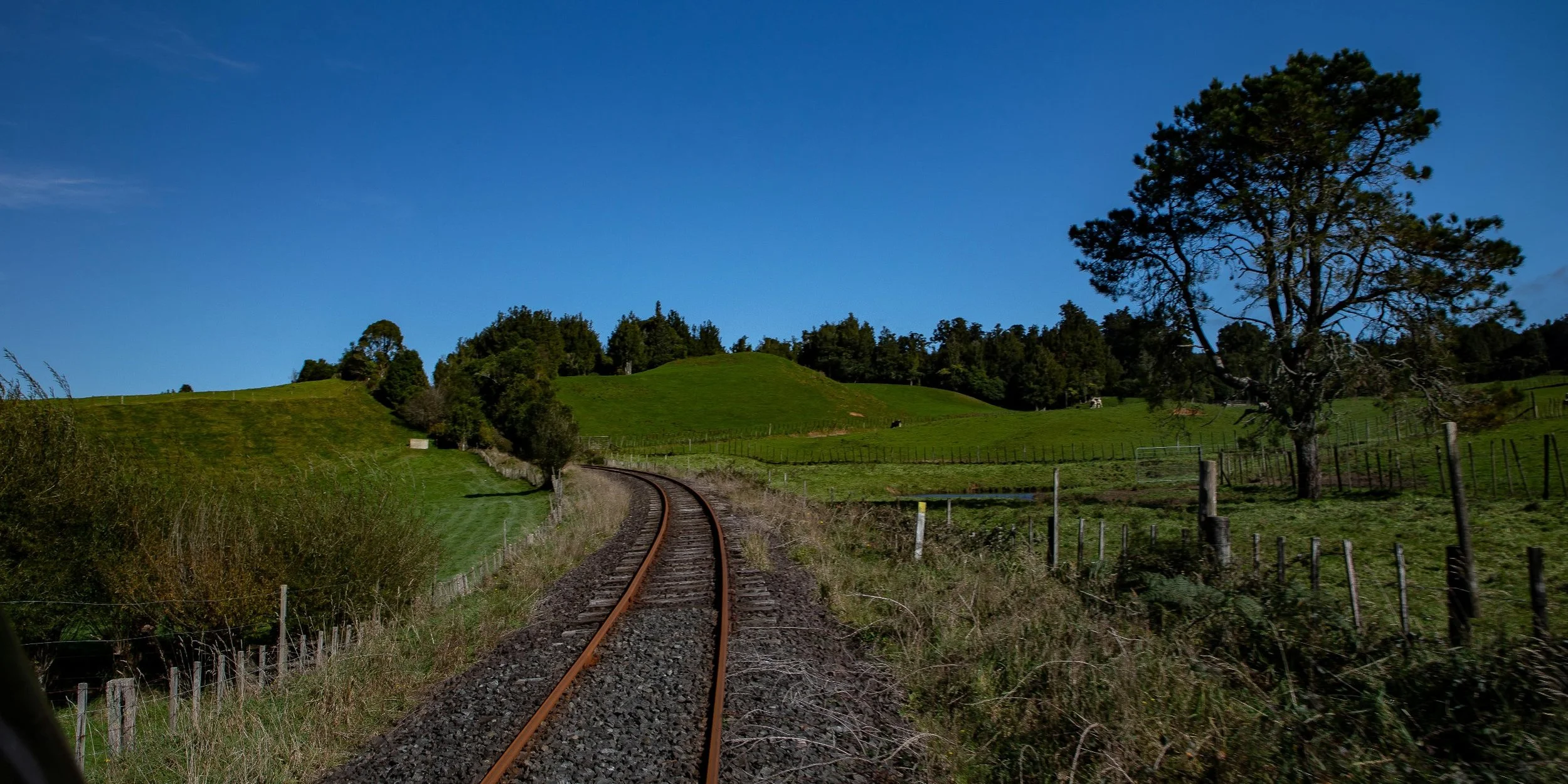 Mamaku Railway,-339.JPG