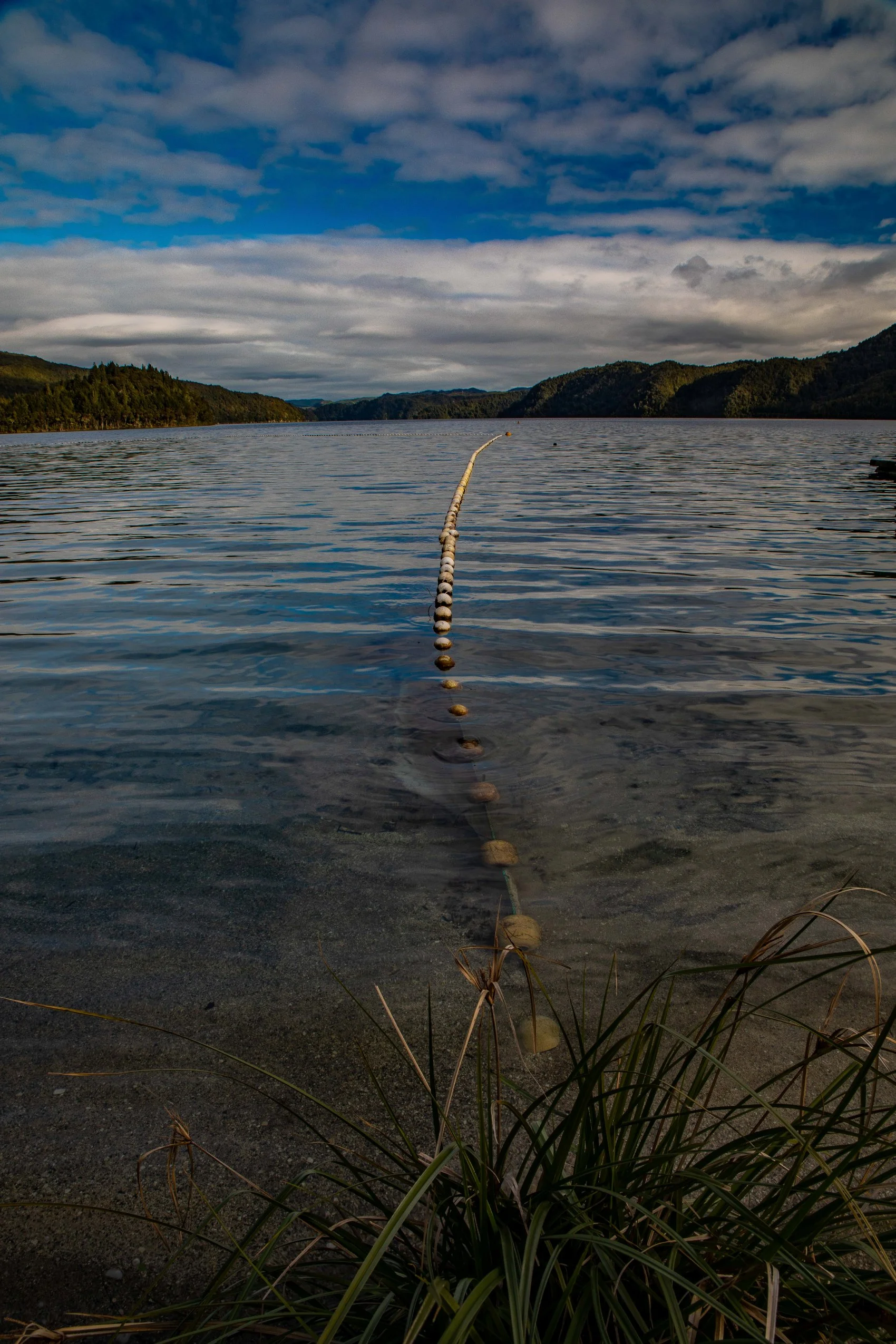 Rotorua,Lake Okataina,-198.JPG