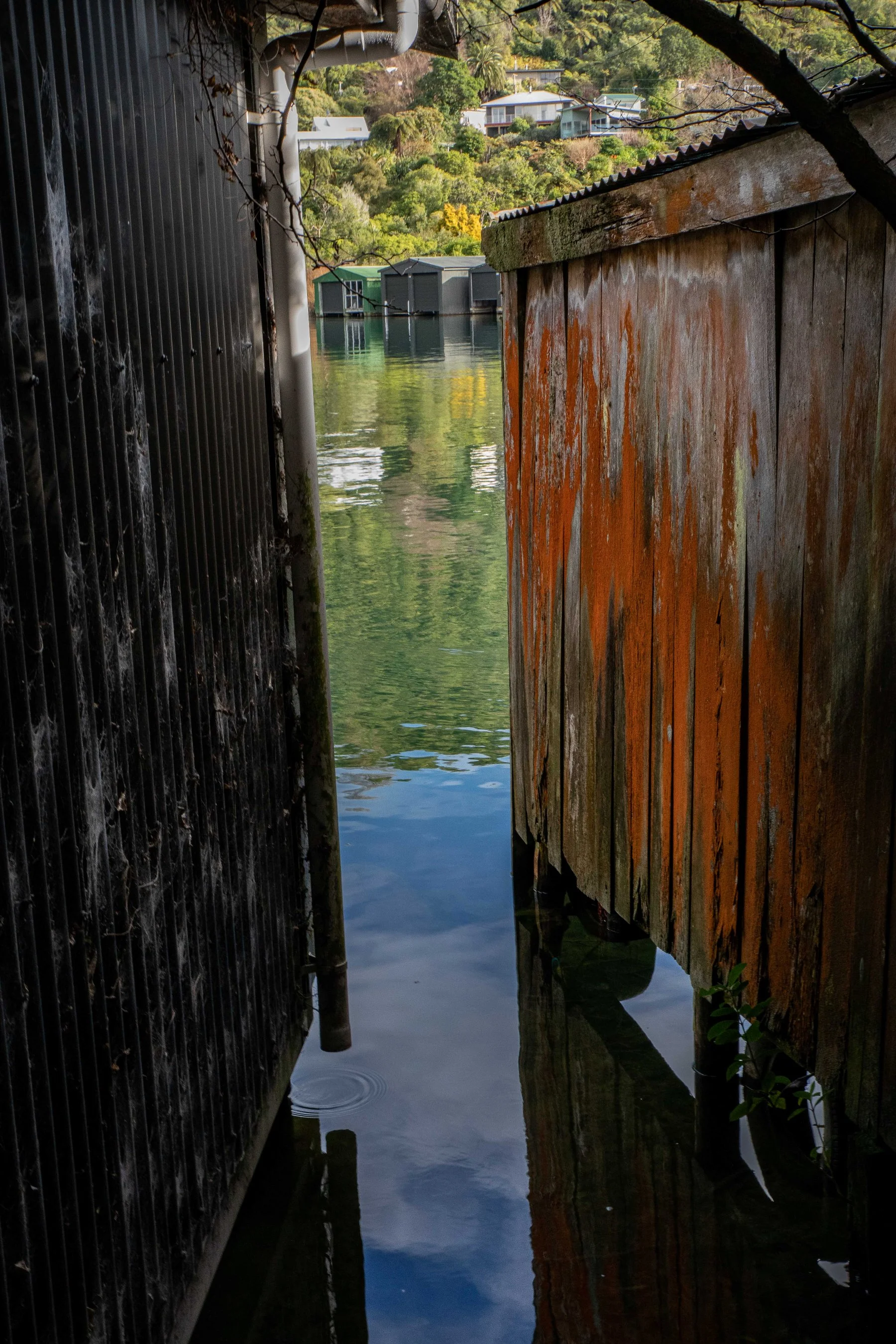 Rotorua,Lake Tarawera,-180.JPG