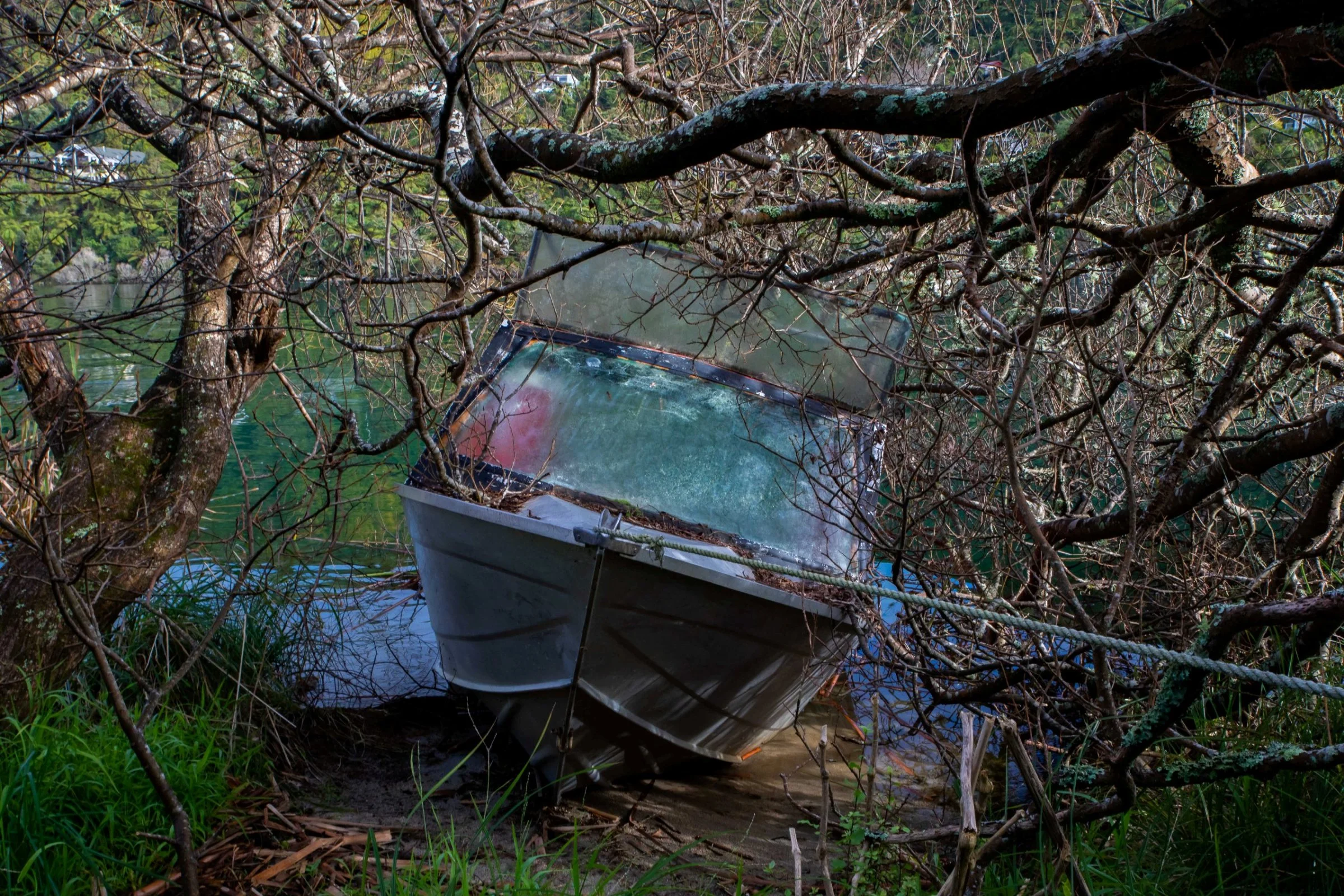 Rotorua,Lake Tarawera,-184.JPG