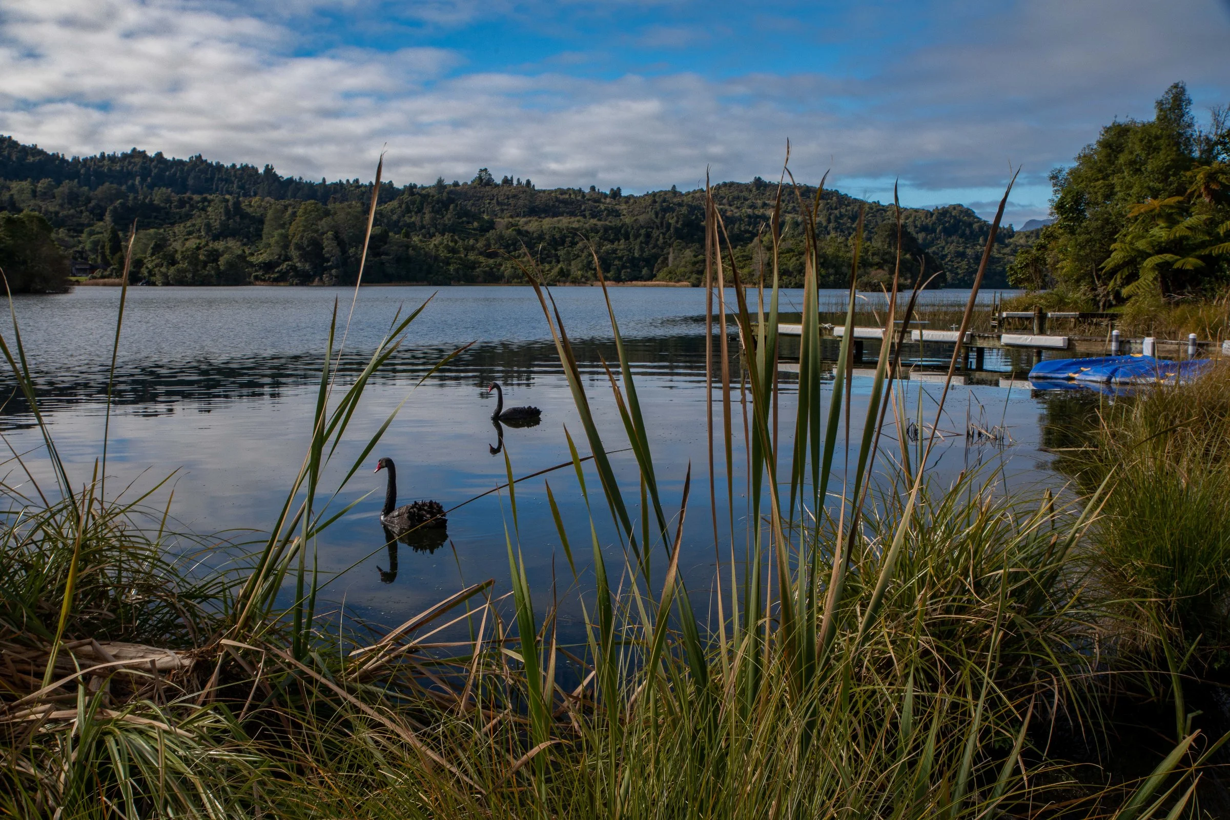 Rotorua,Lake Tarawera,-189.JPG