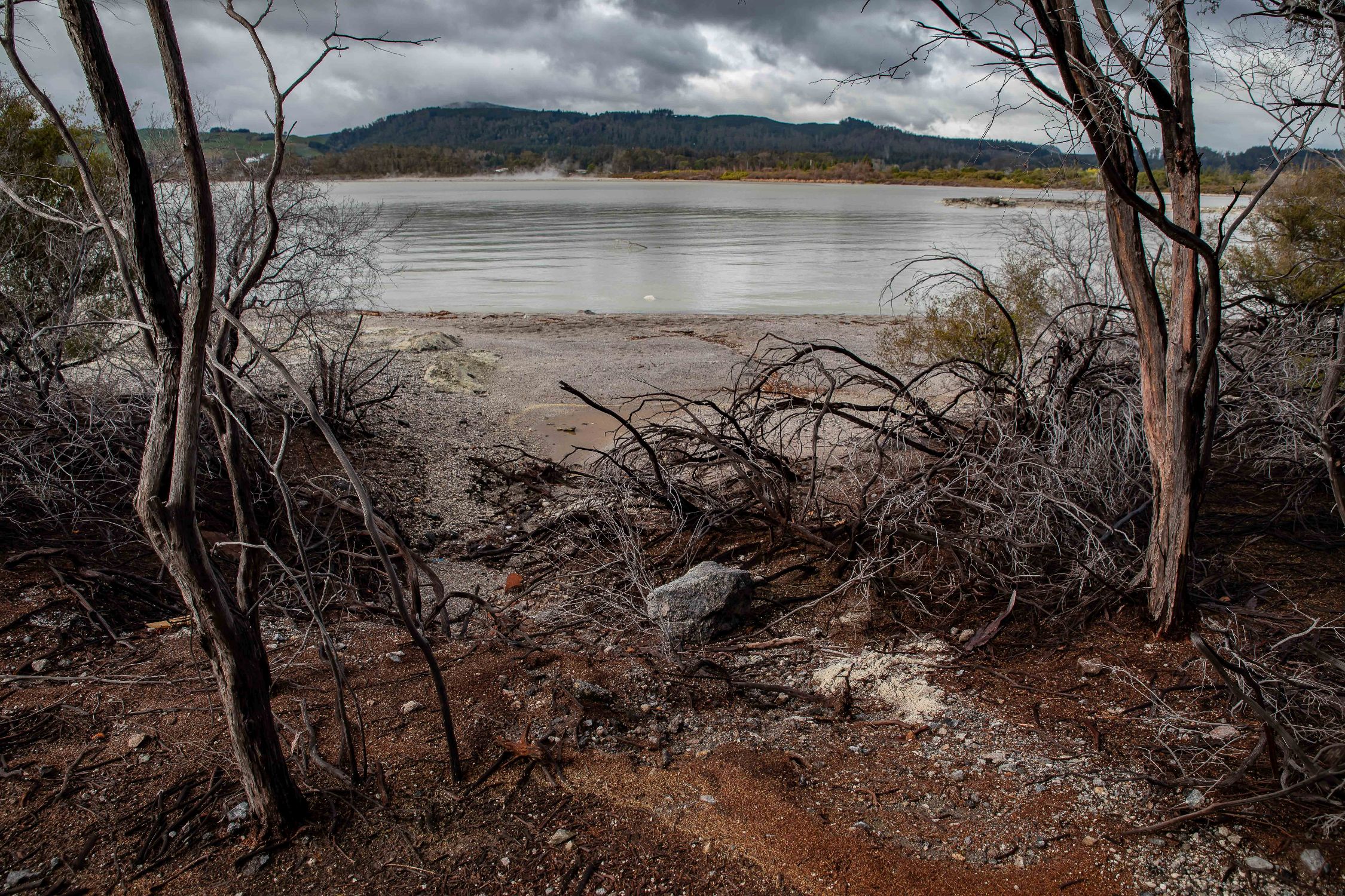 Rotorua,Sulphur Point,-053.JPG