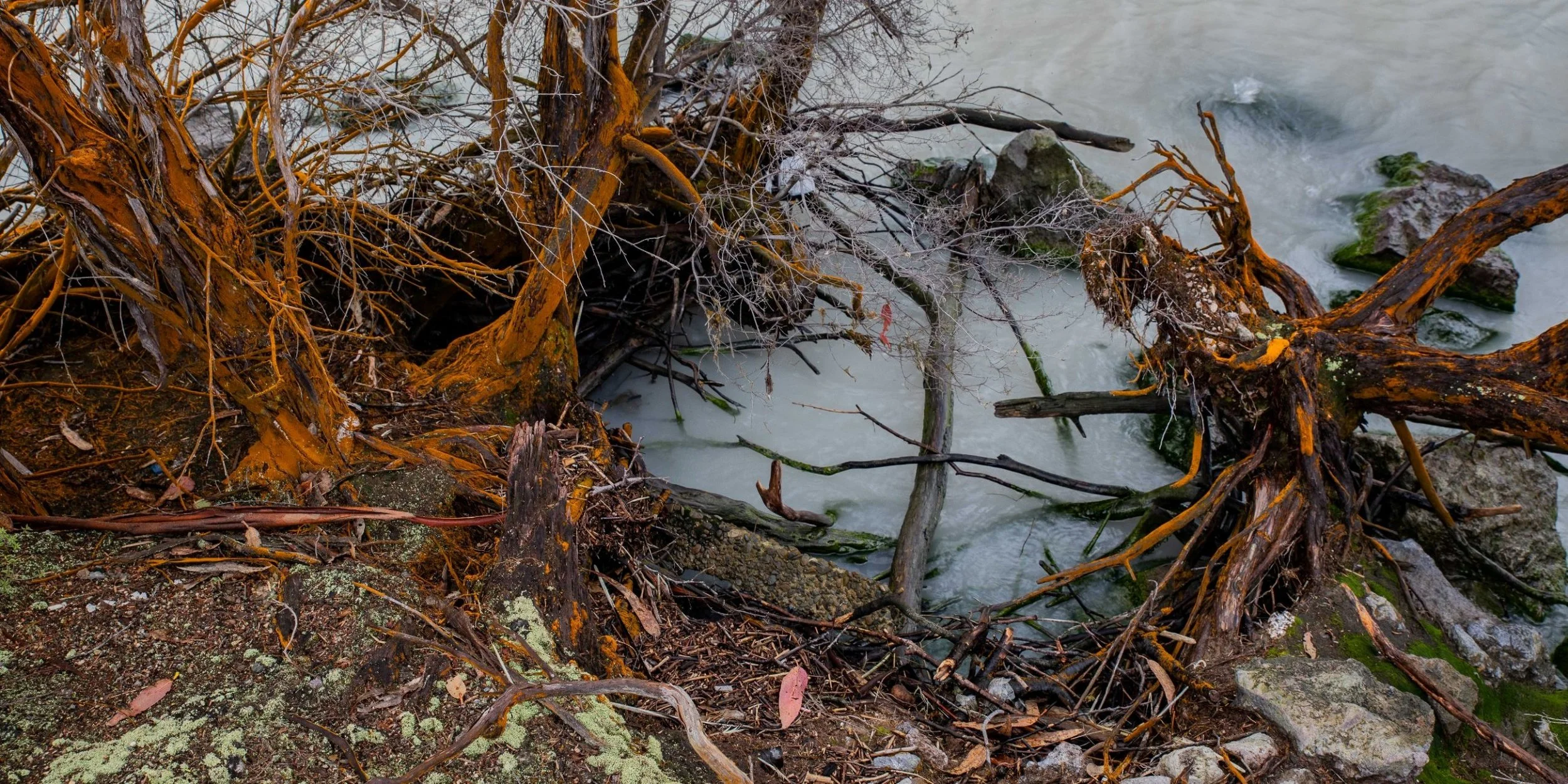 Rotorua,Sulphur Point,-066.JPG