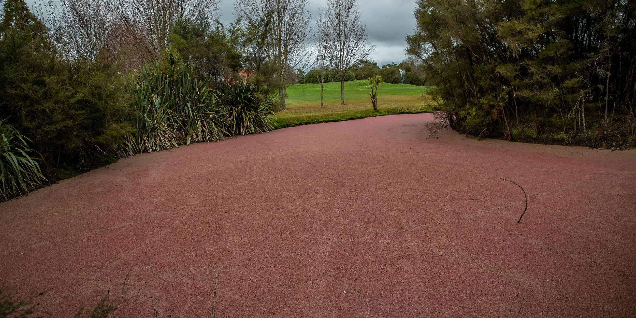 Rotorua,Sulphur Point,-081.JPG