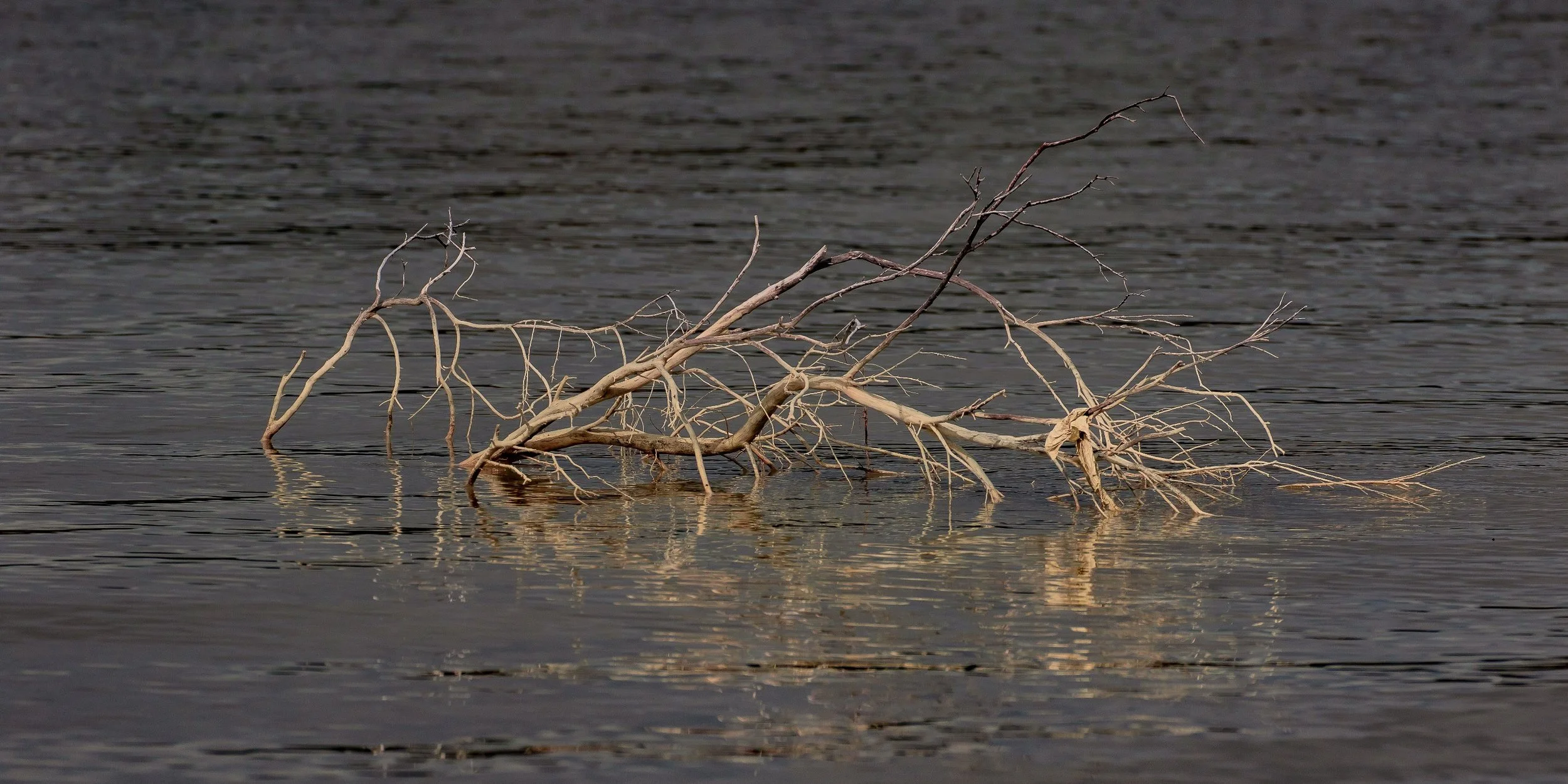 Rotorua,Sulphur Point,-516.JPG