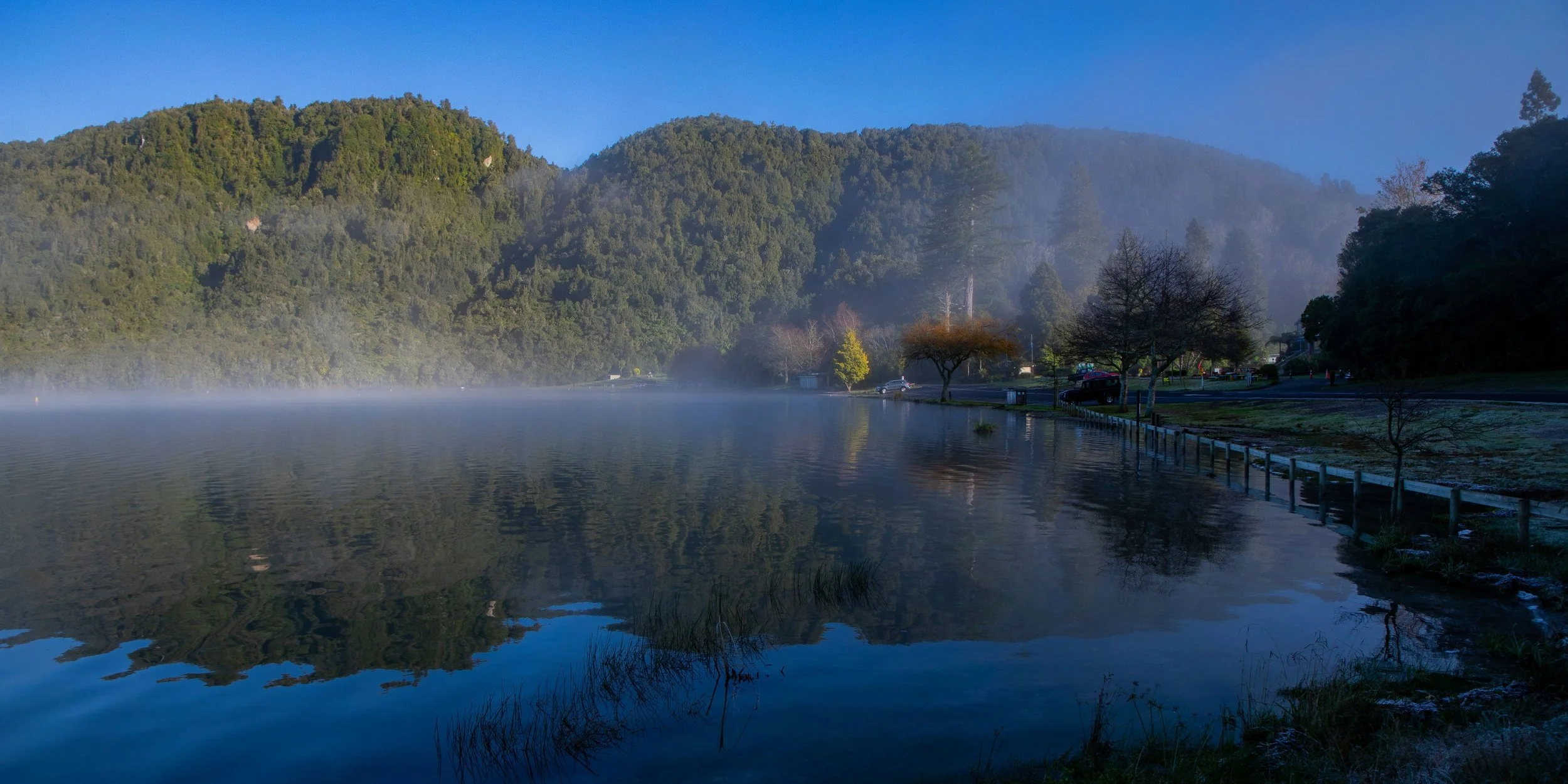 Rotorua,Tikitapu,Blue Lake,-242.JPG