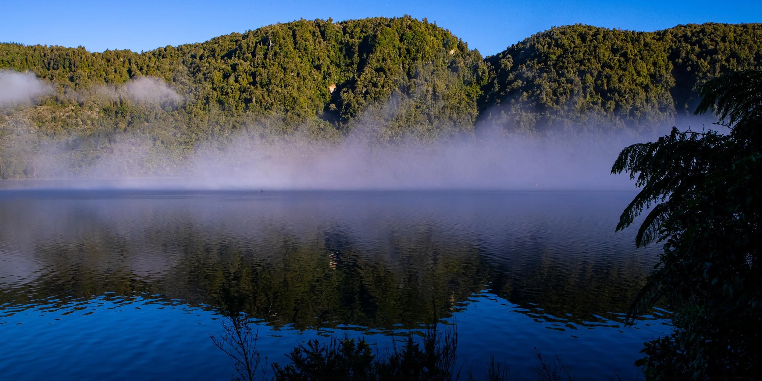 Rotorua,Tikitapu,Blue Lake,-243.JPG