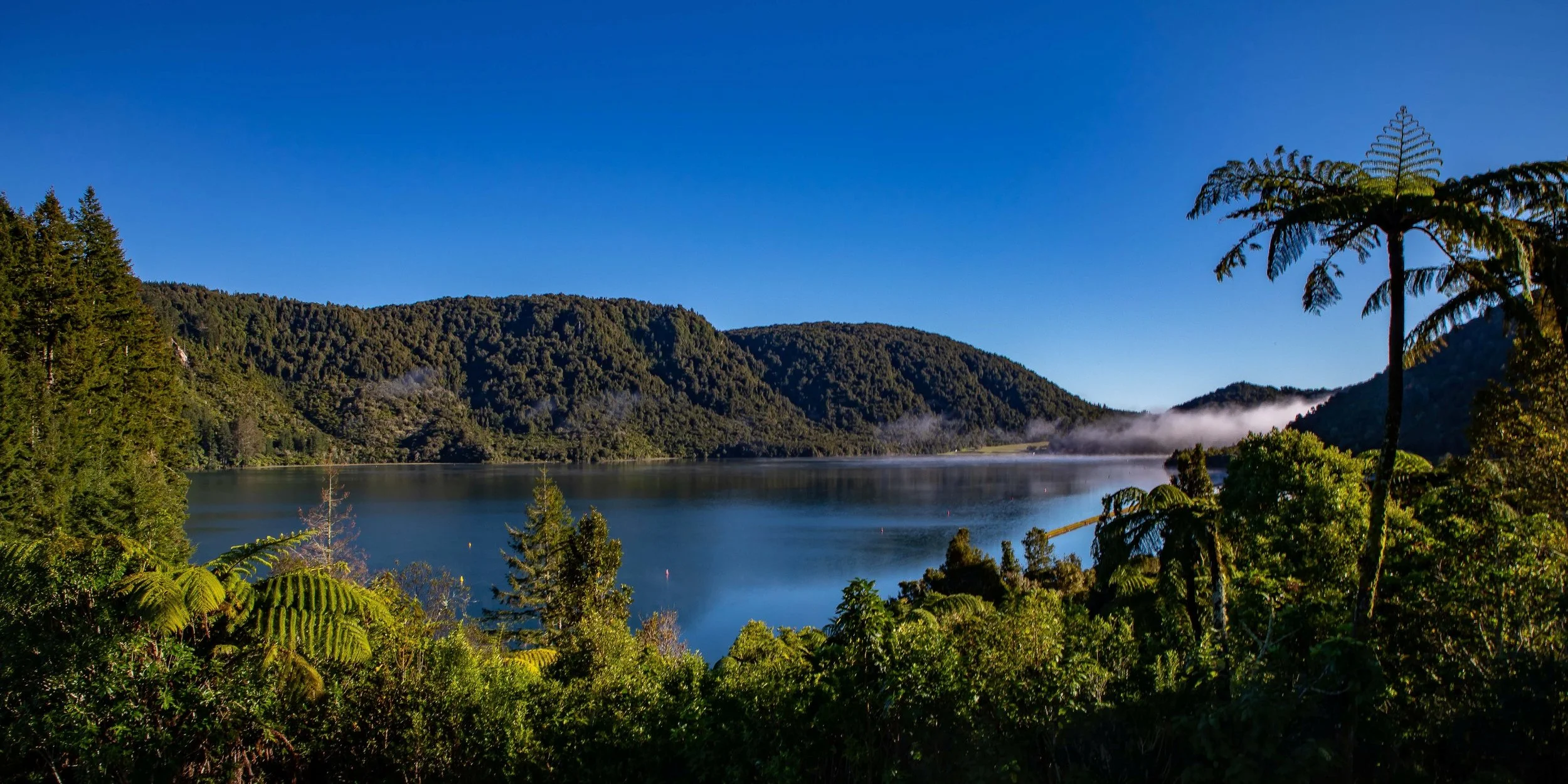 Rotorua,Tikitapu,Blue Lake,-250.JPG