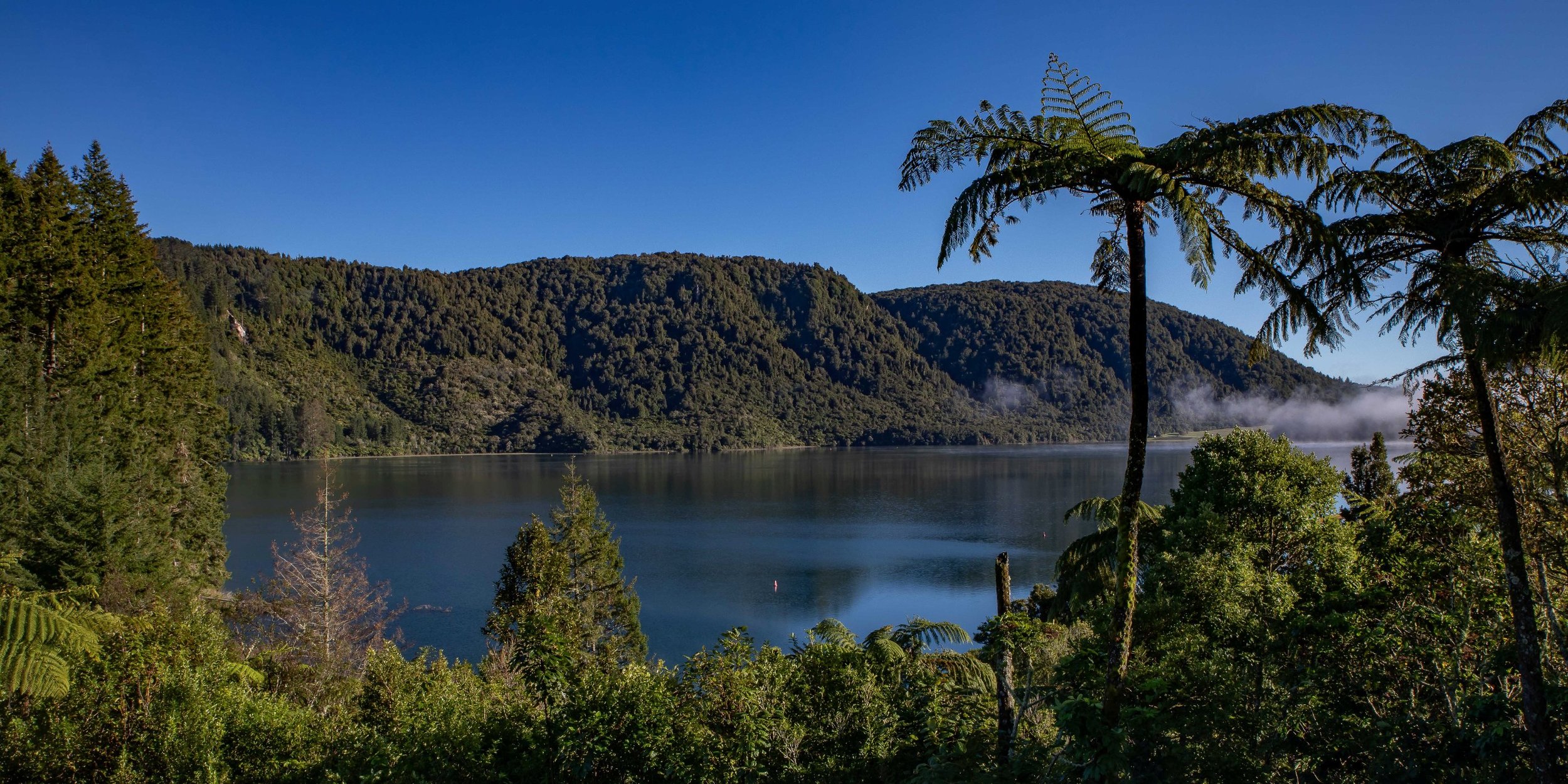 Rotorua,Tikitapu,Blue Lake,-252.JPG