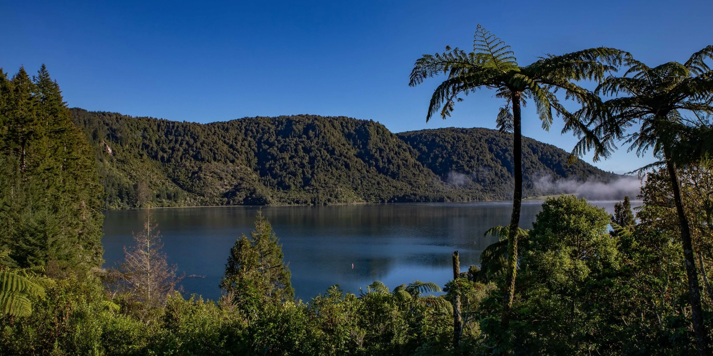 Rotorua,Tikitapu,Blue Lake,-252.JPG
