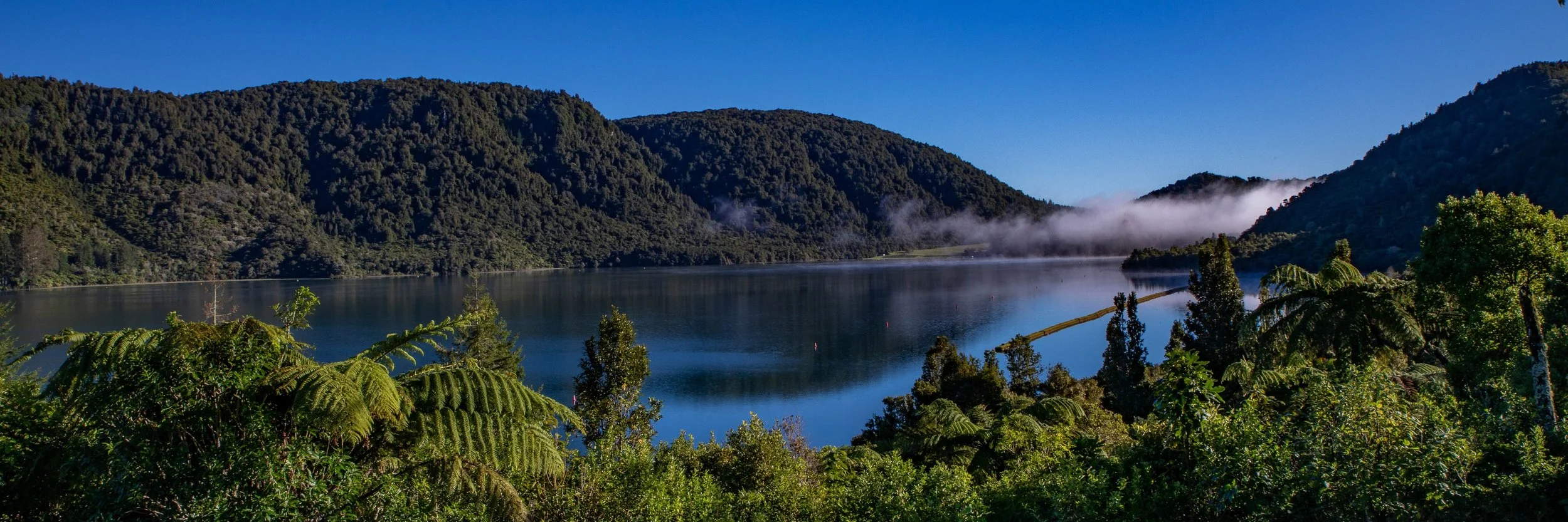 Rotorua,Tikitapu,Blue Lake,-253.JPG