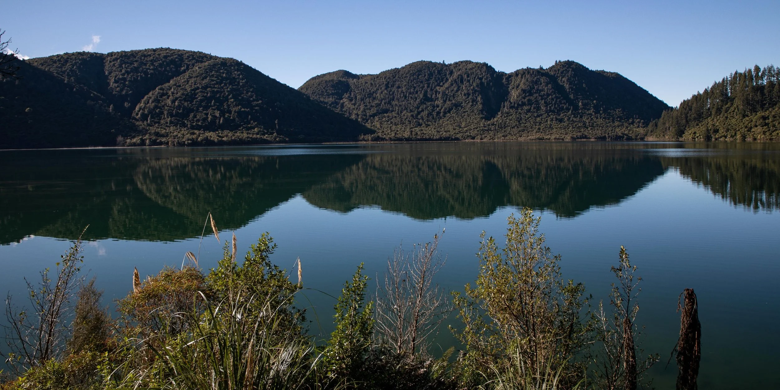 Rotorua,Tikitapu,Blue Lake,-263.JPG