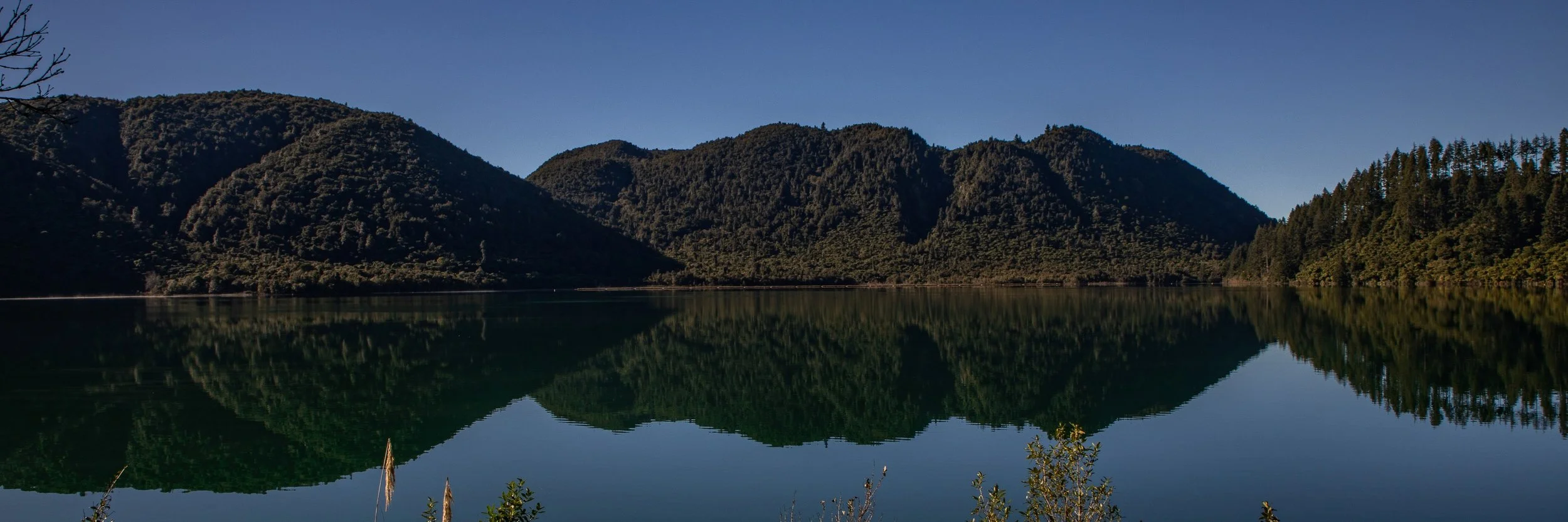 Rotorua,Tikitapu,Blue Lake,-271.JPG