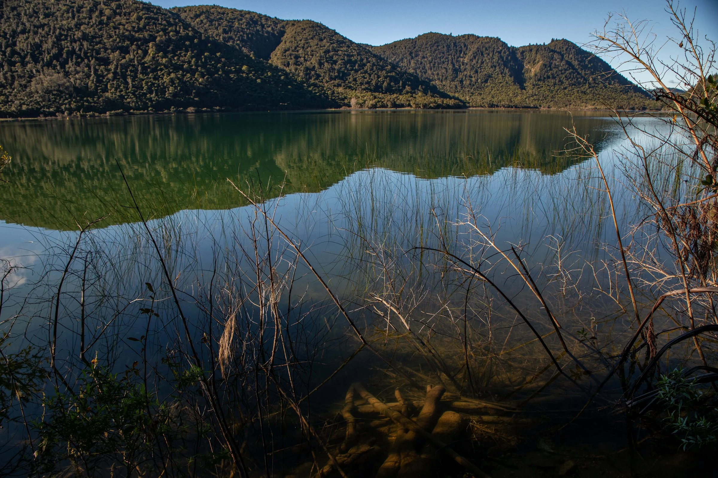 Rotorua,Tikitapu,Blue Lake,-273.JPG