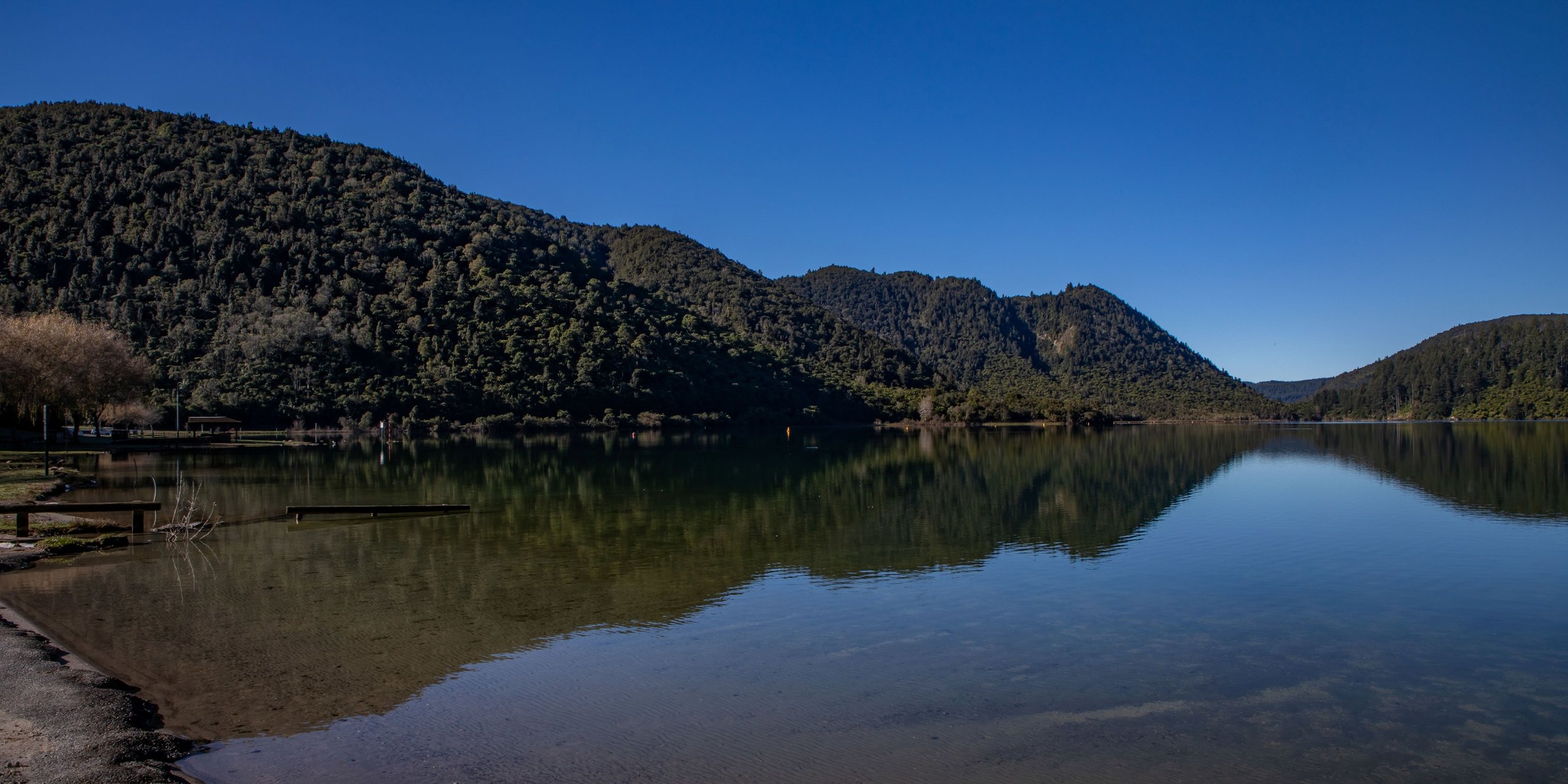 Rotorua,Tikitapu,Blue Lake,-281.JPG