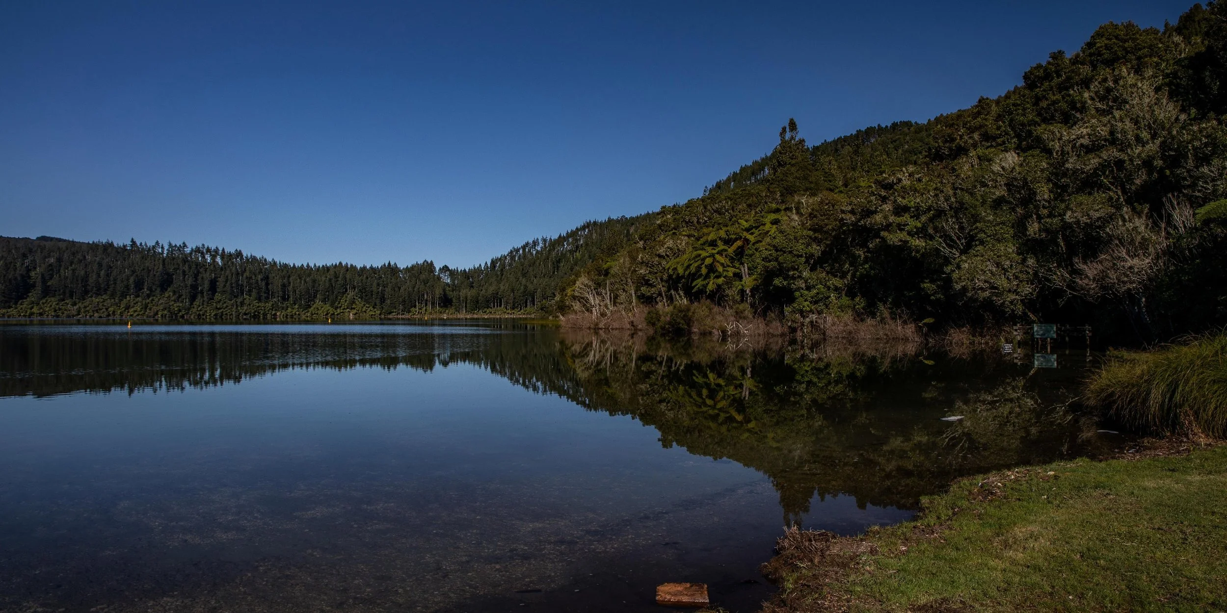 Rotorua,Tikitapu,Blue Lake,-277.JPG