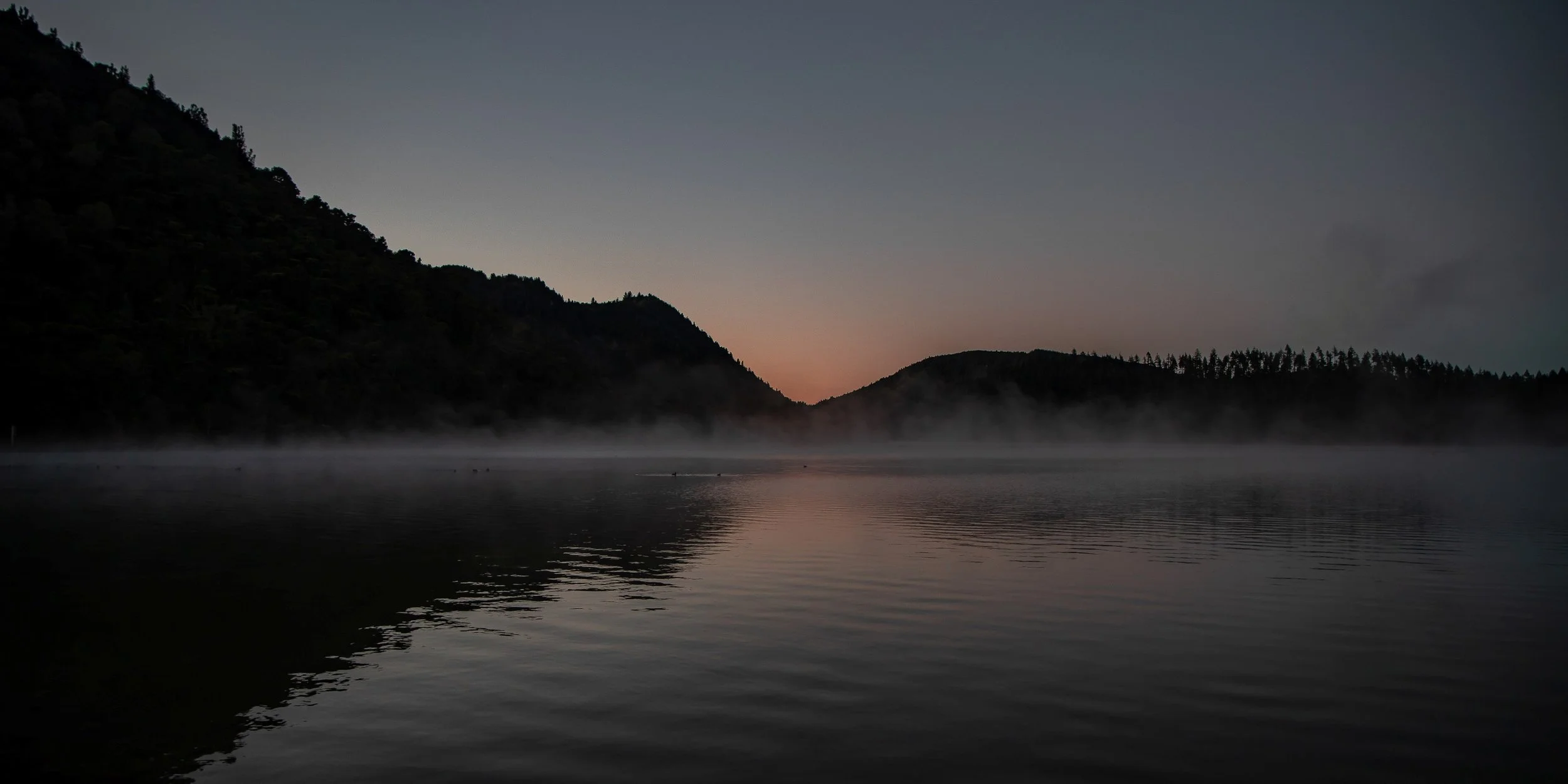Rotorua,Tikitapu,The Blue Lake,-094.JPG