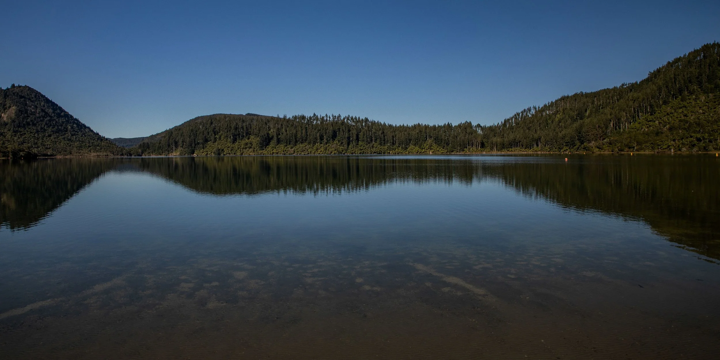 Rotorua,Tikitapu,Blue Lake,-282.JPG