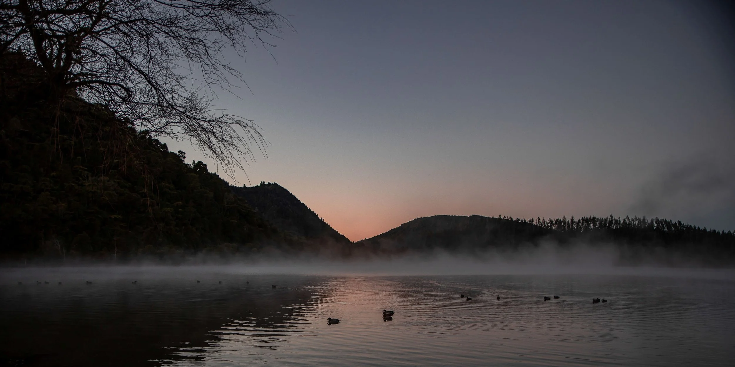 Rotorua,Tikitapu,The Blue Lake,-096.JPG