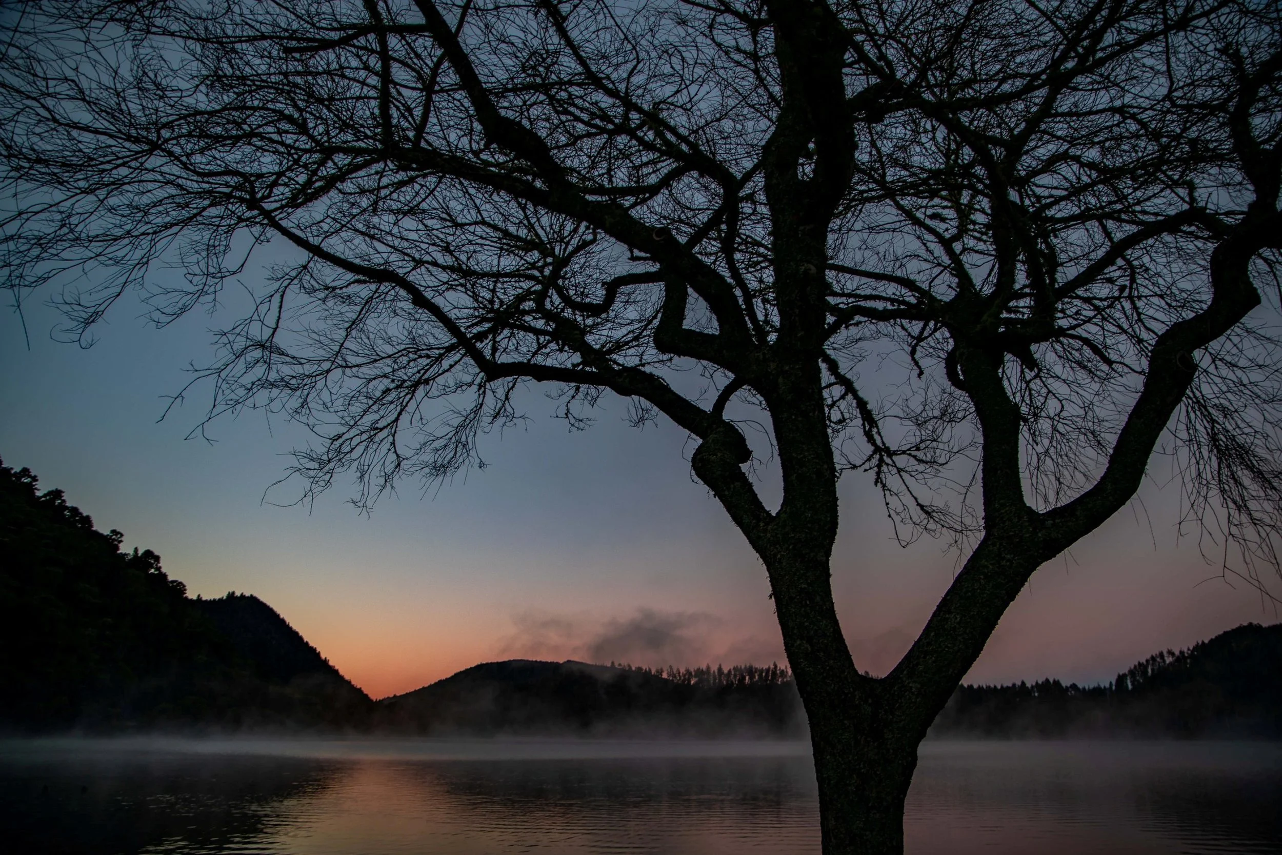 Rotorua,Tikitapu,The Blue Lake,-107.JPG