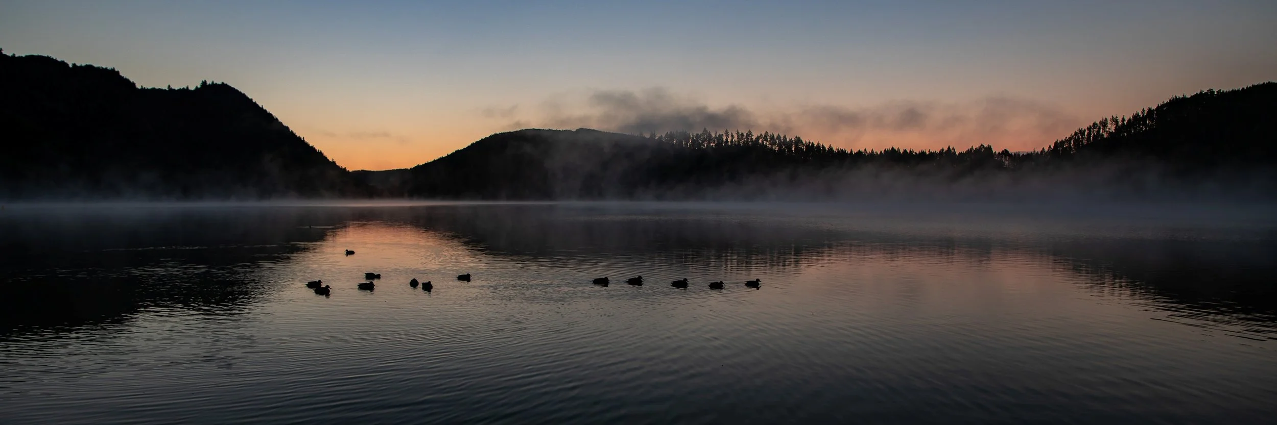 Rotorua,Tikitapu,The Blue Lake,-119.JPG