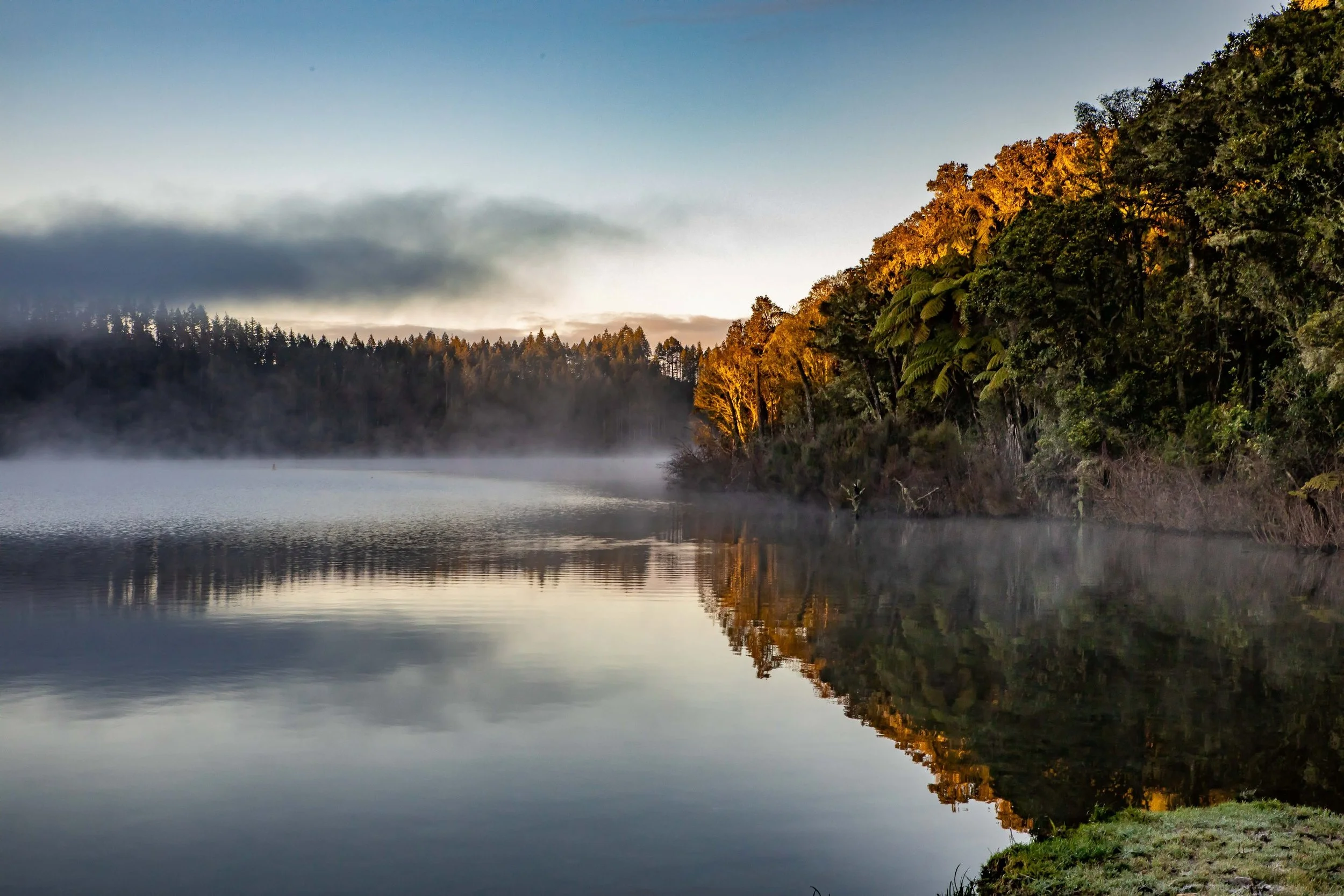 Rotorua,Tikitapu,The Blue Lake,-133.JPG