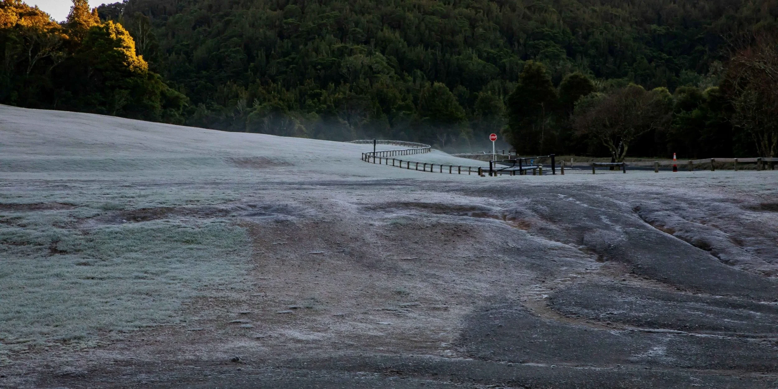 Rotorua,Tikitapu,The Blue Lake,-144.JPG
