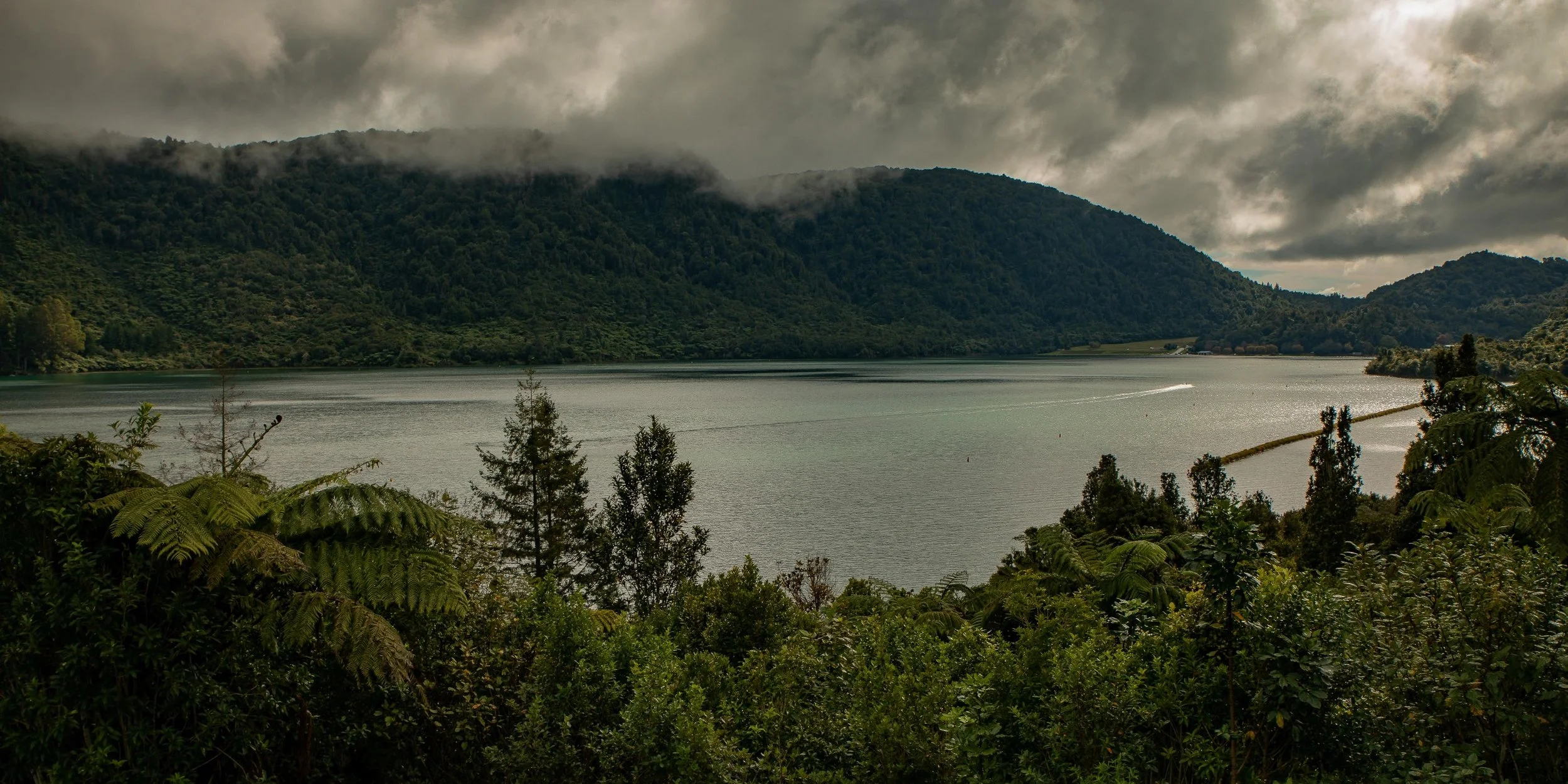 Tikitapu,The Blue Lake,-120.JPG