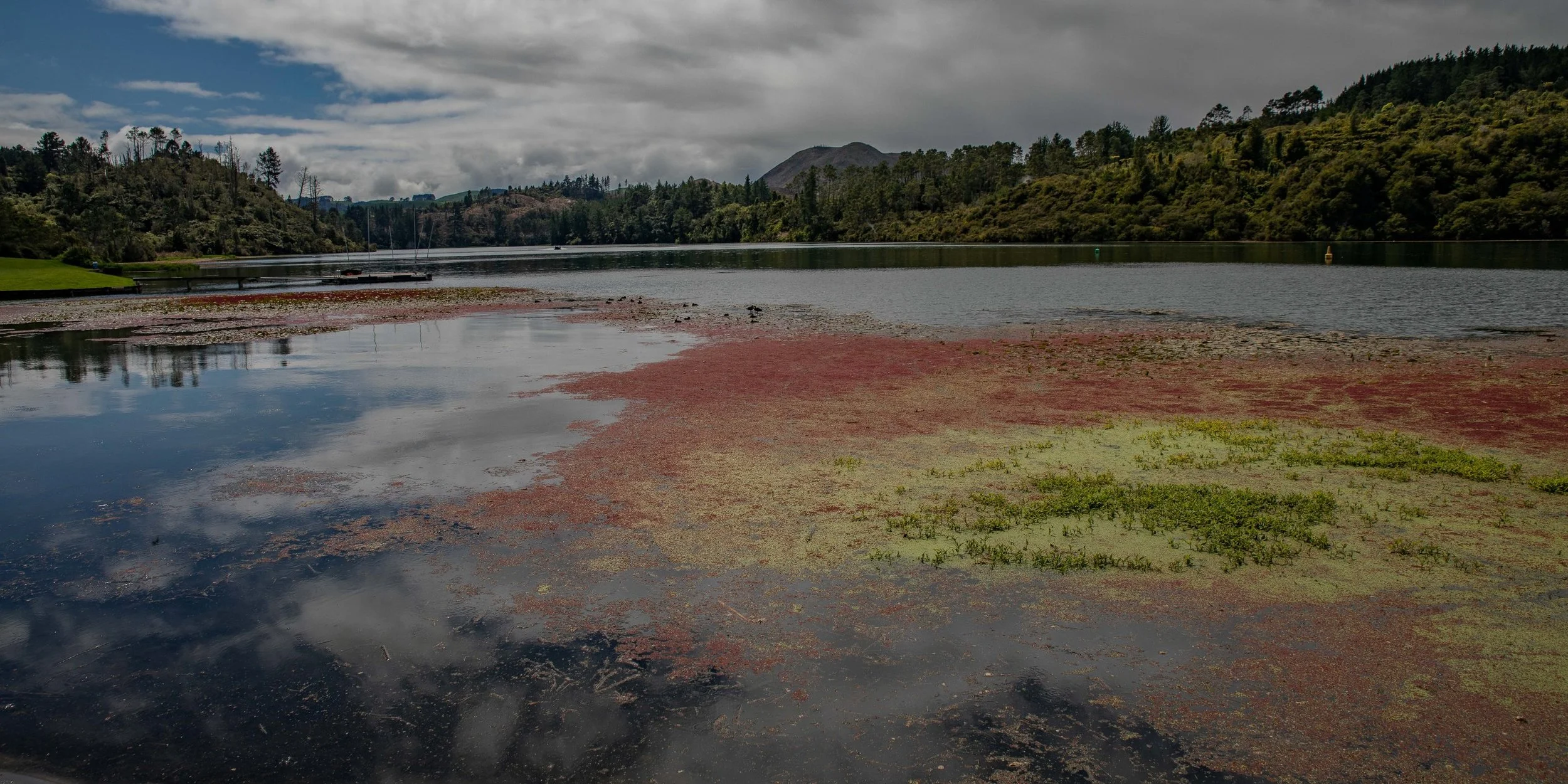 Waikato River,Orakei Korako,-098.JPG