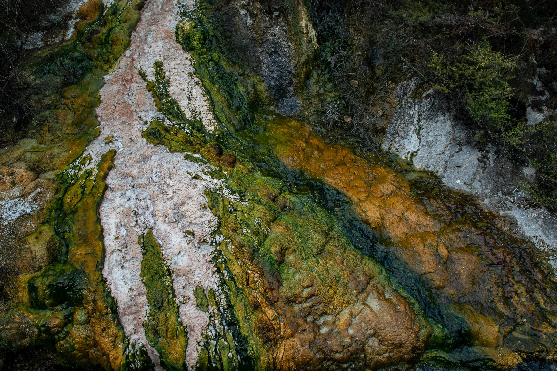 Waikato River,Orakei Korako,-119.JPG