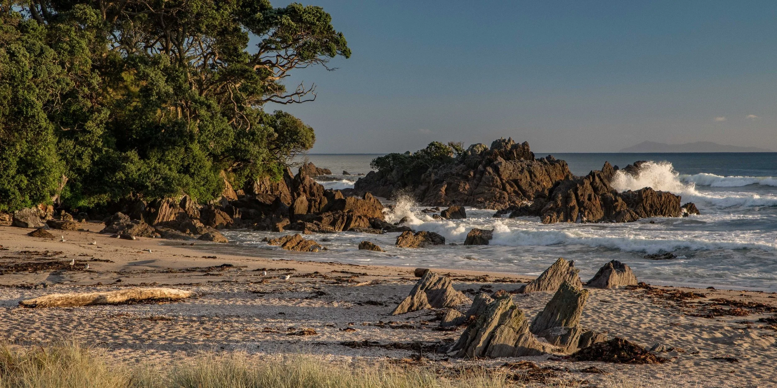 Mt Maunganui,-932.JPG