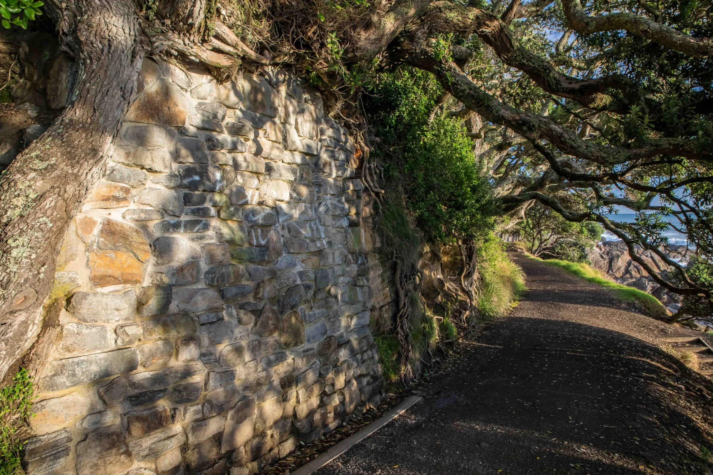 Mt Maunganui,-944.JPG