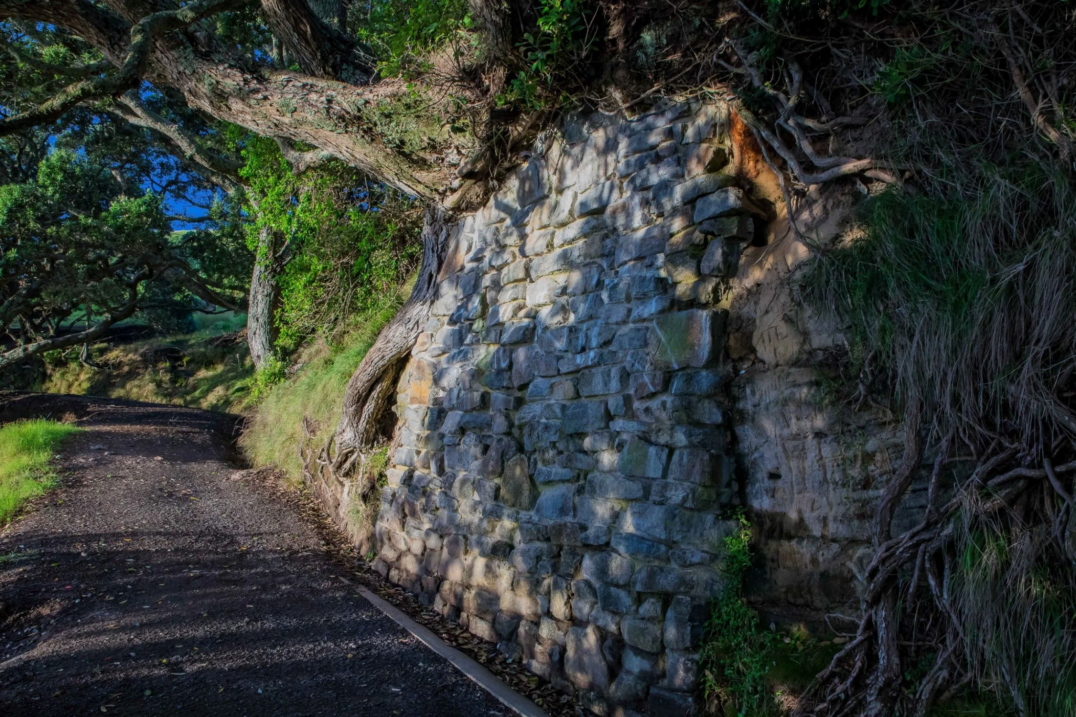 Mt Maunganui,-945.JPG