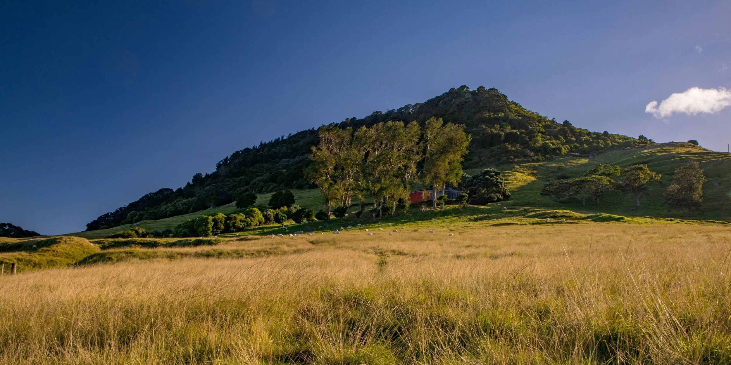 Mt Maunganui,-988.JPG