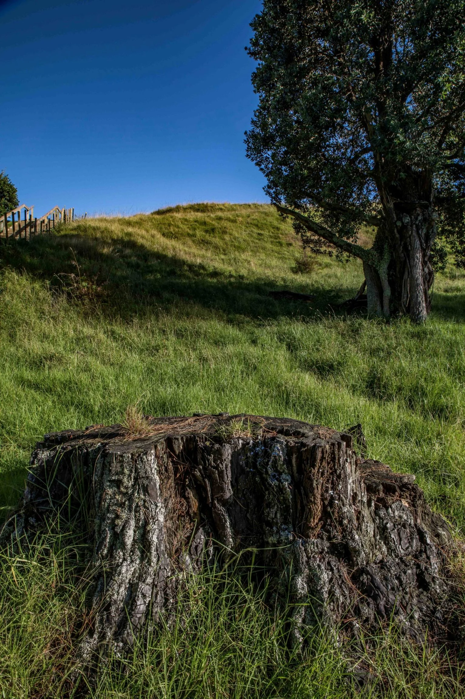 Mt Maunganui,-1000.JPG