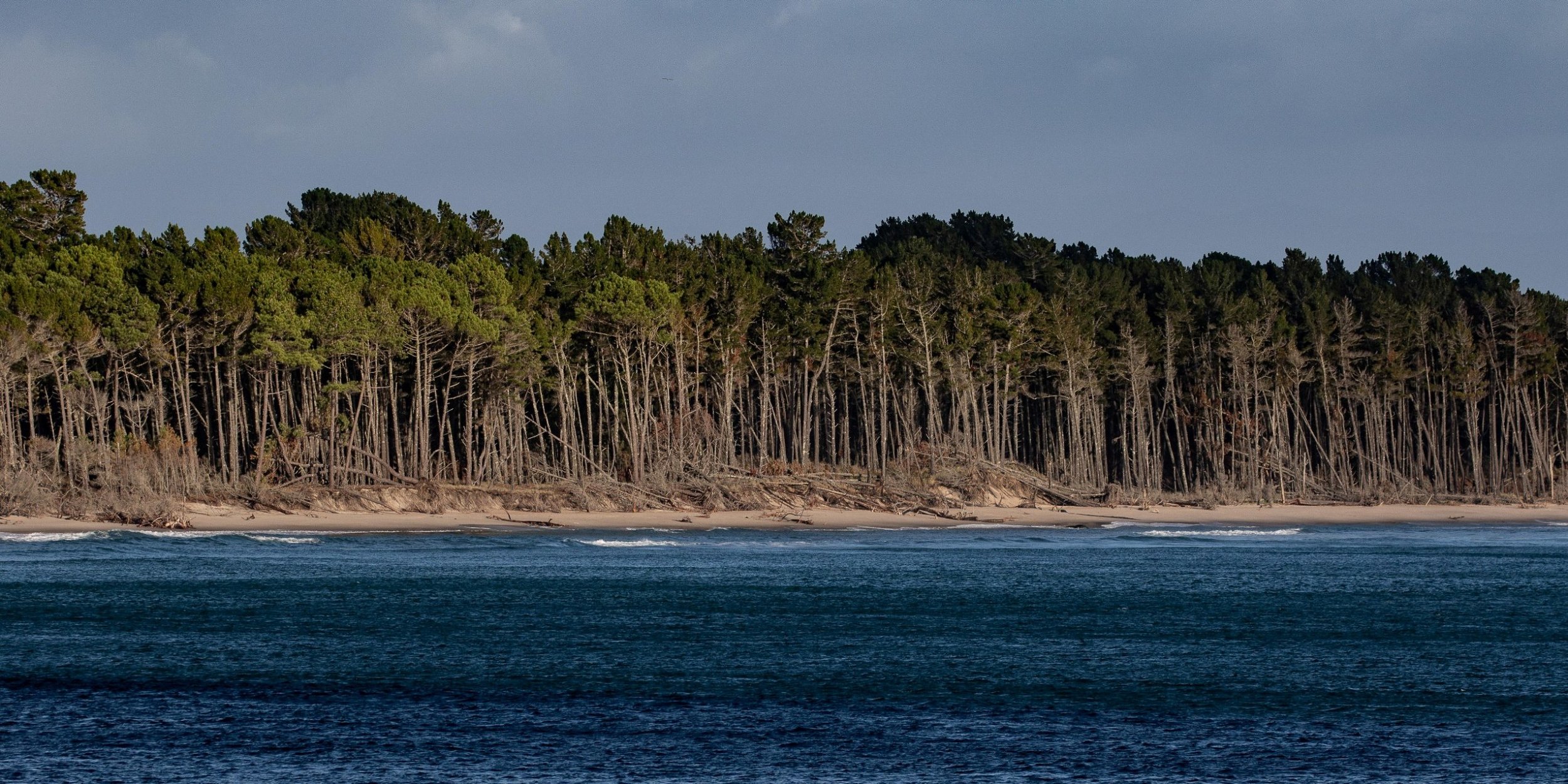 Mt Maunganui,Matakana Is,-235.JPG