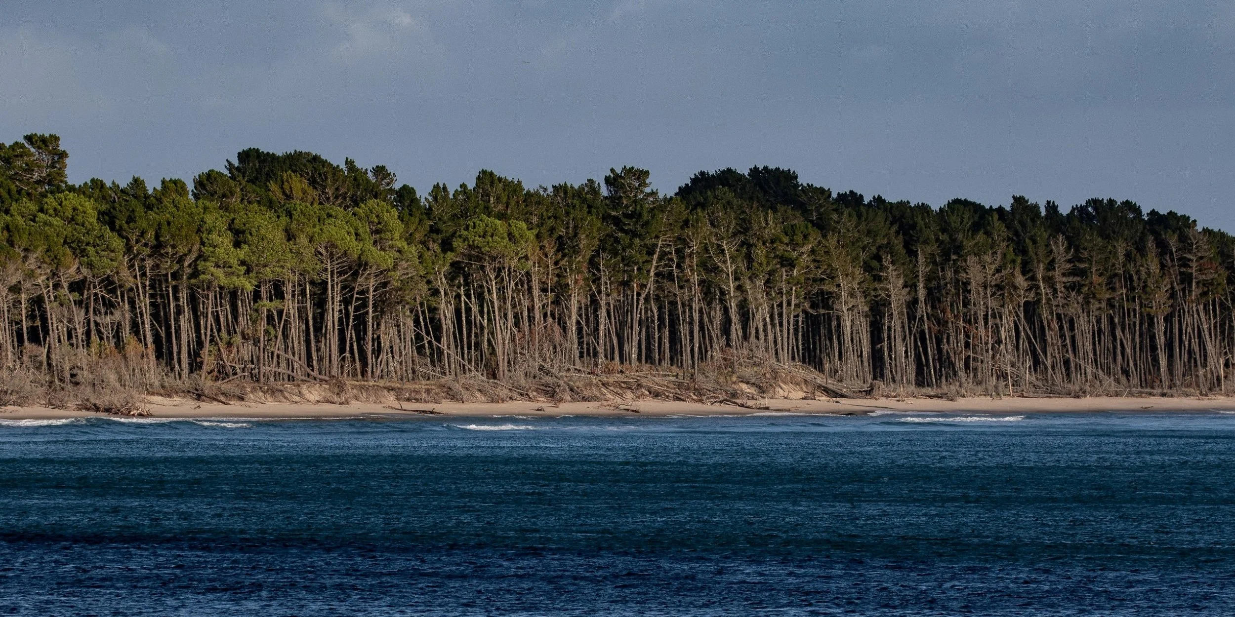 Mt Maunganui,Matakana Is,-235.JPG