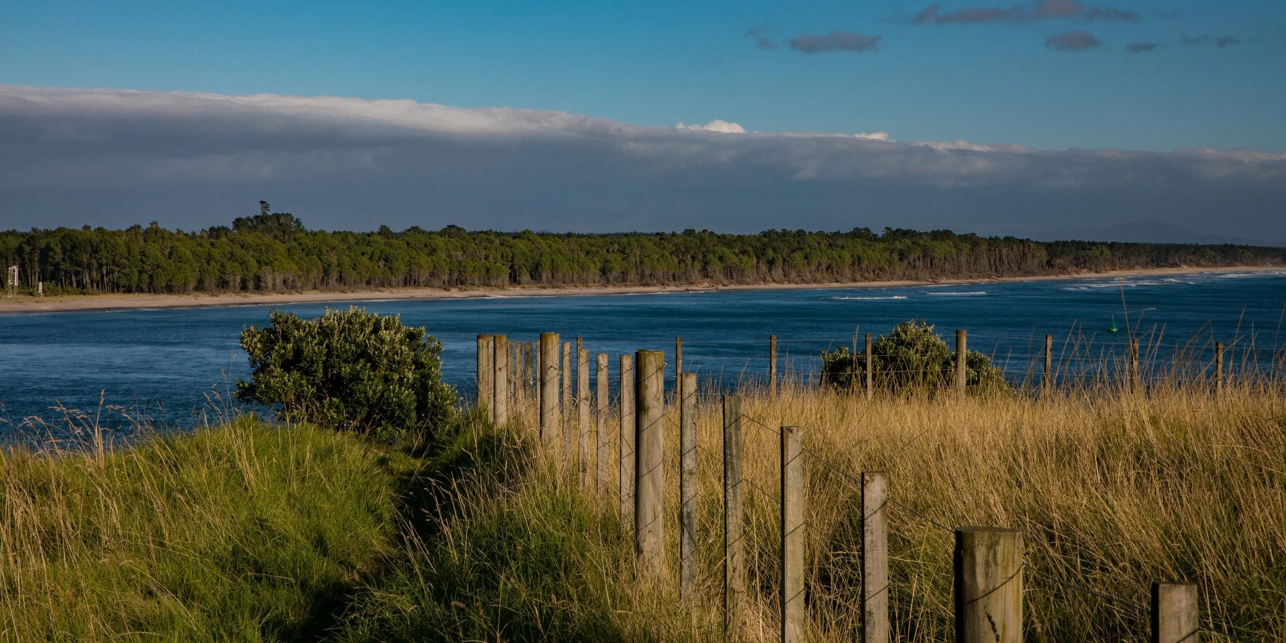 Mt Maunganui,Matakana Is,-990.JPG